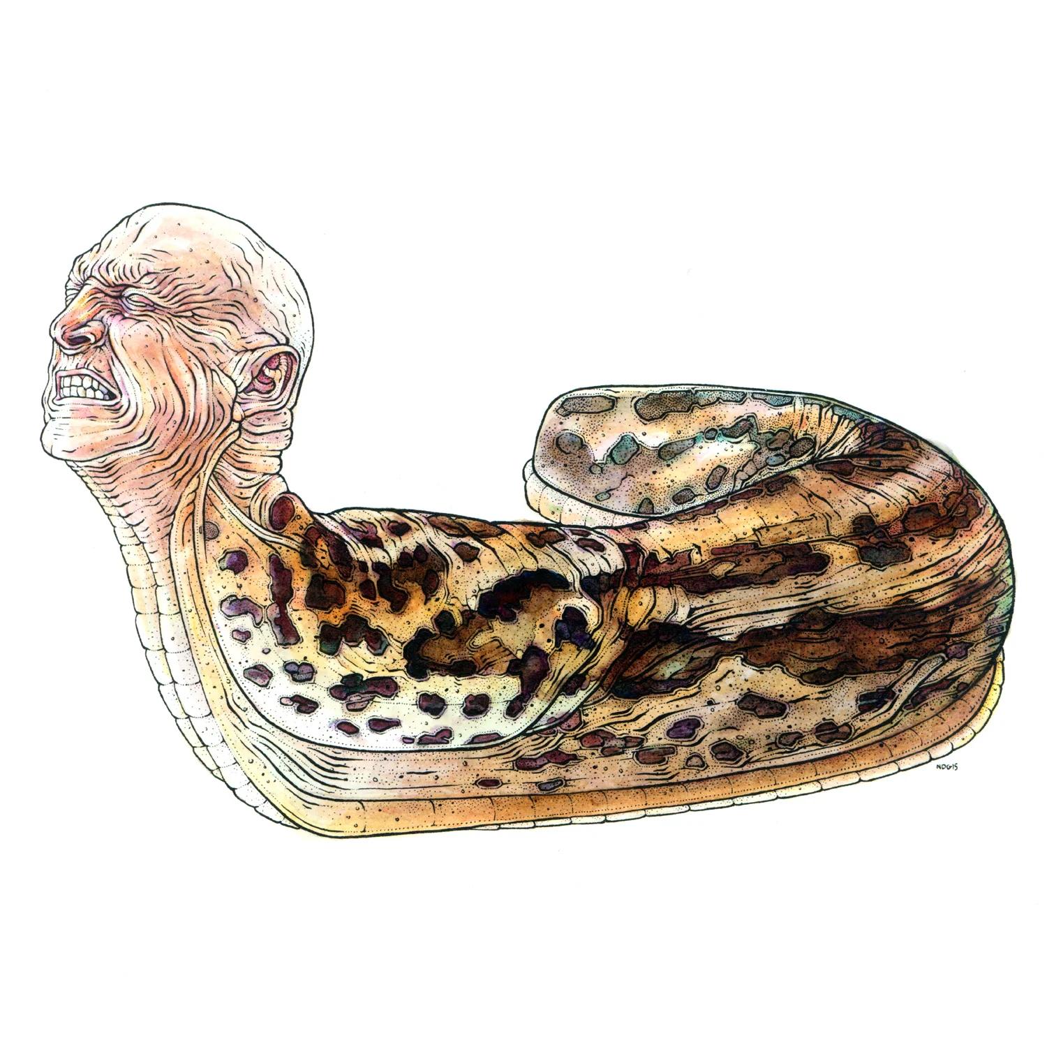 Hell Slug watercolour and ink on paper, 10" x 10" 2015