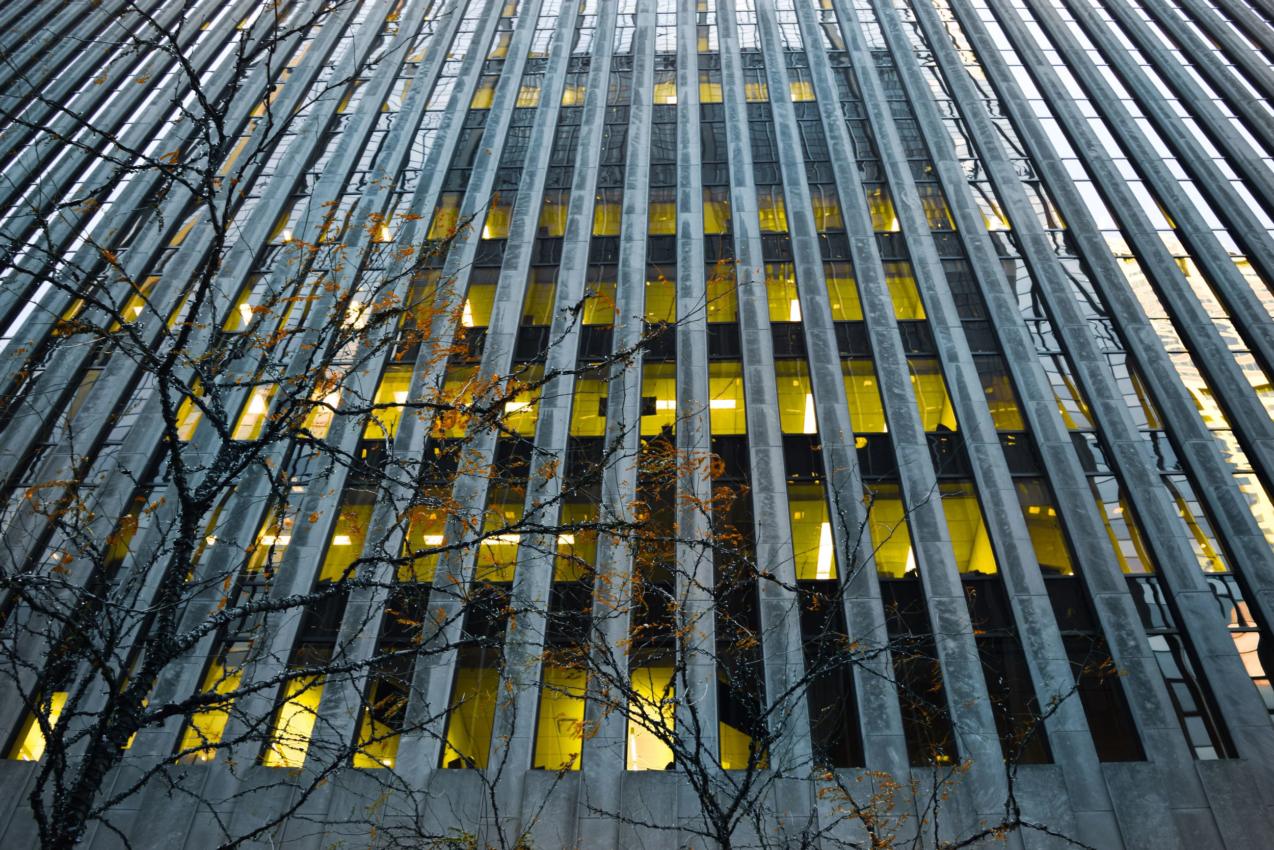 NYC 2014 946.jpg