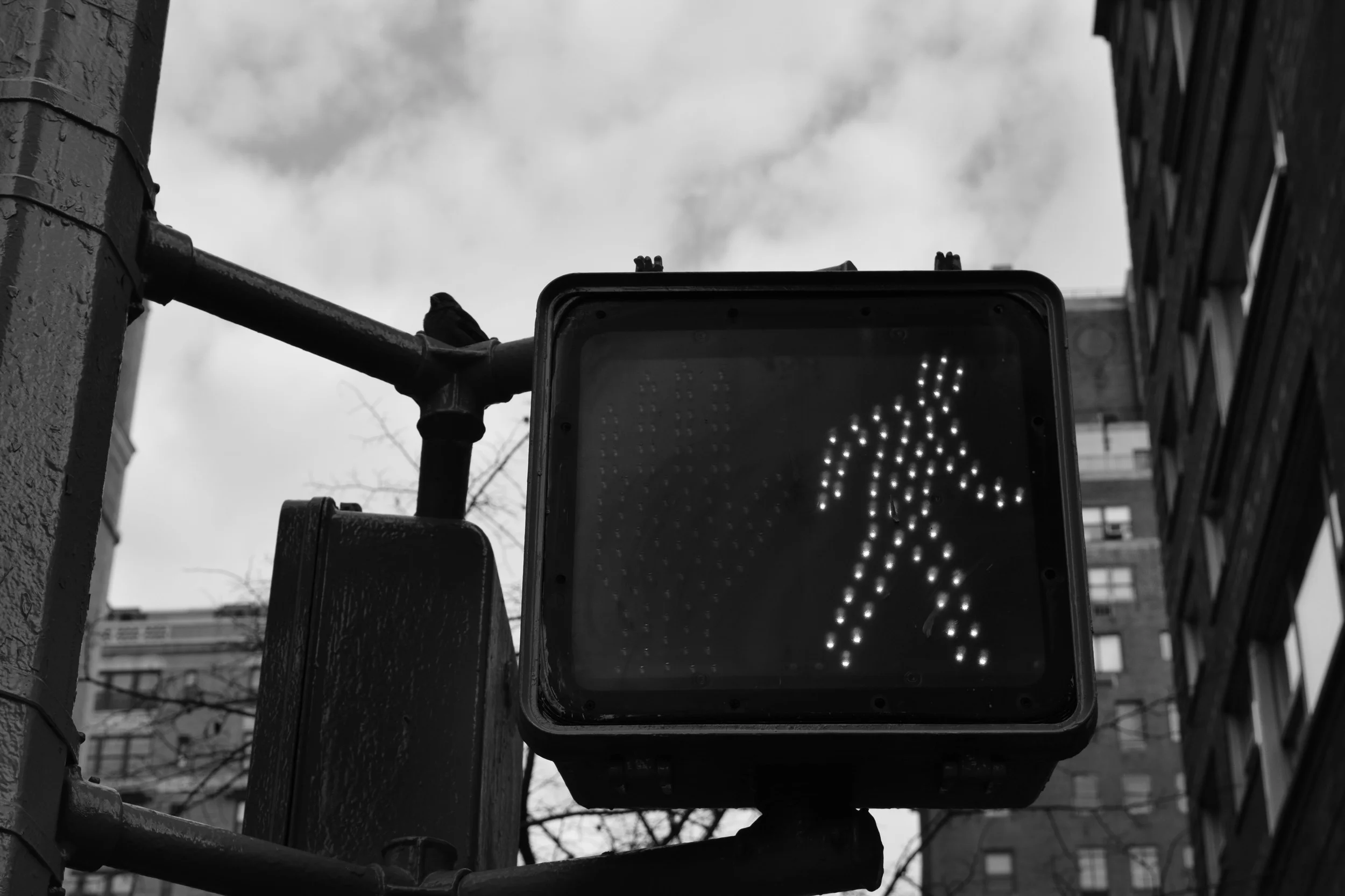 NYC 2014 1032.jpg