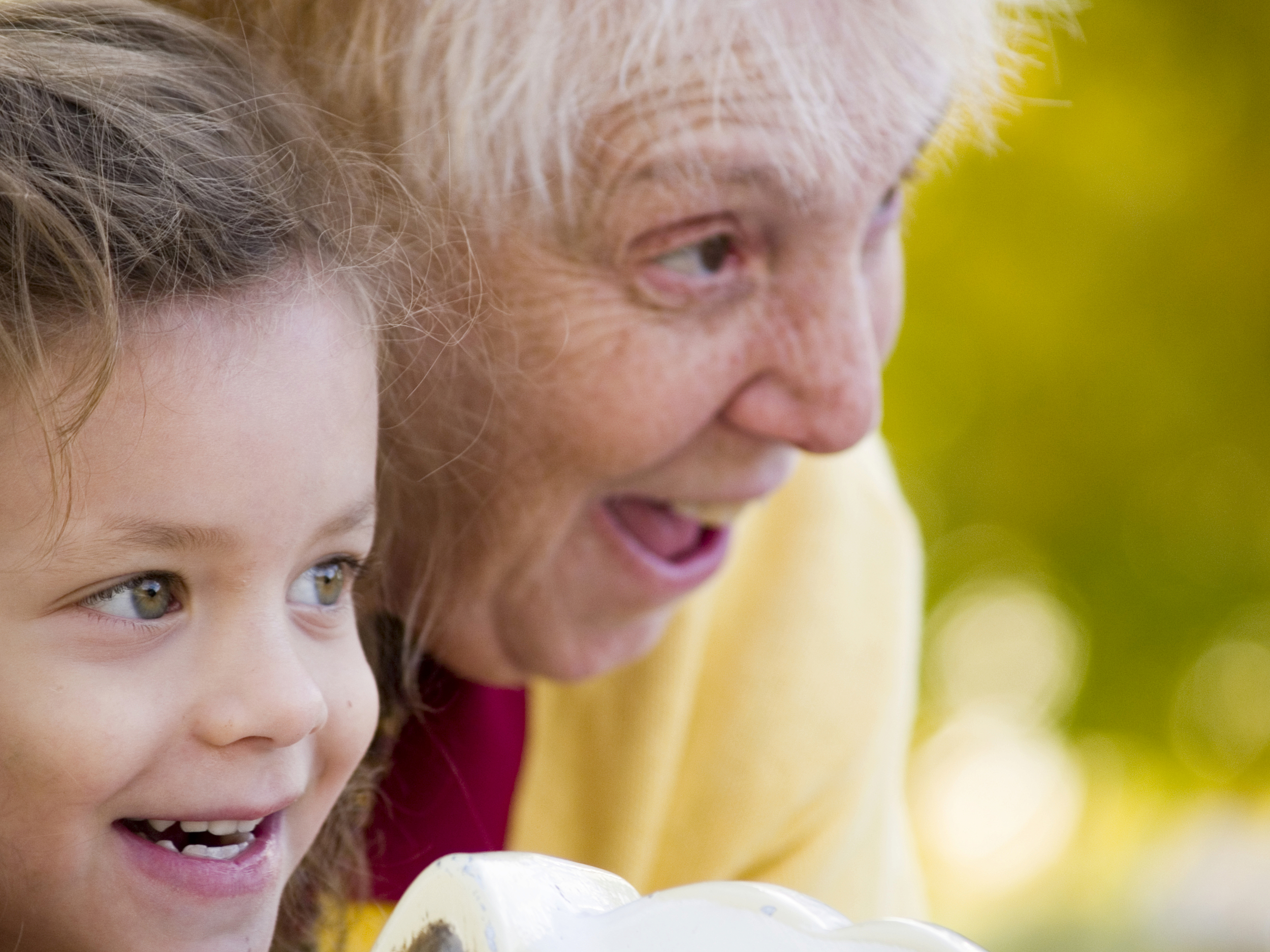 iStock_000002476084_Large.jpg