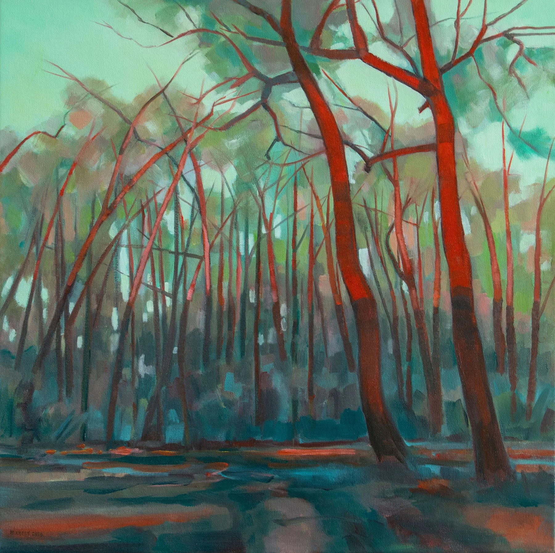 Last Light on Ironbarks