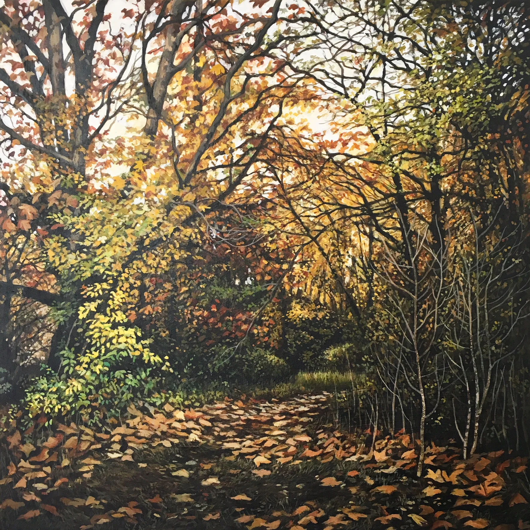 Autumn in the Pine Forest III.jpg