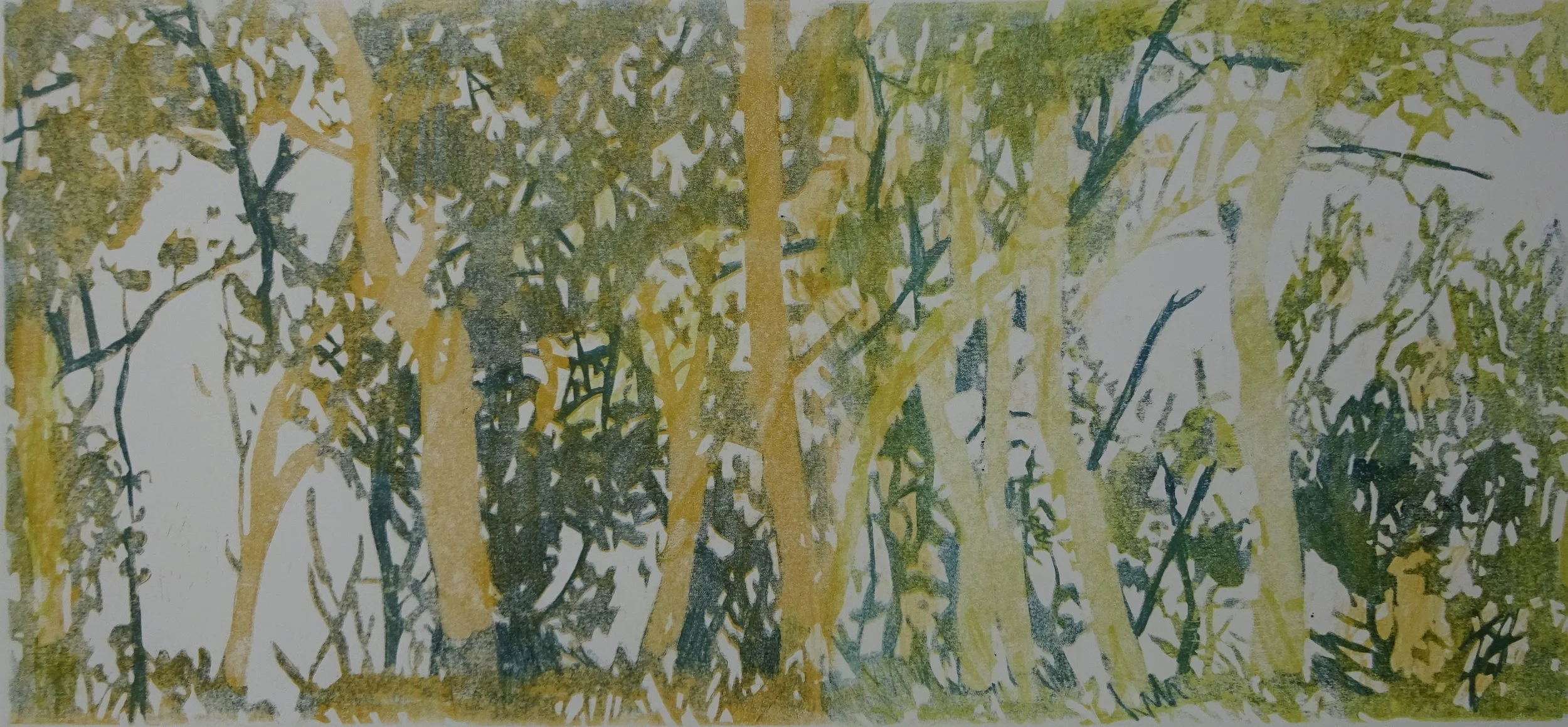 Walking into winter 1.jpg