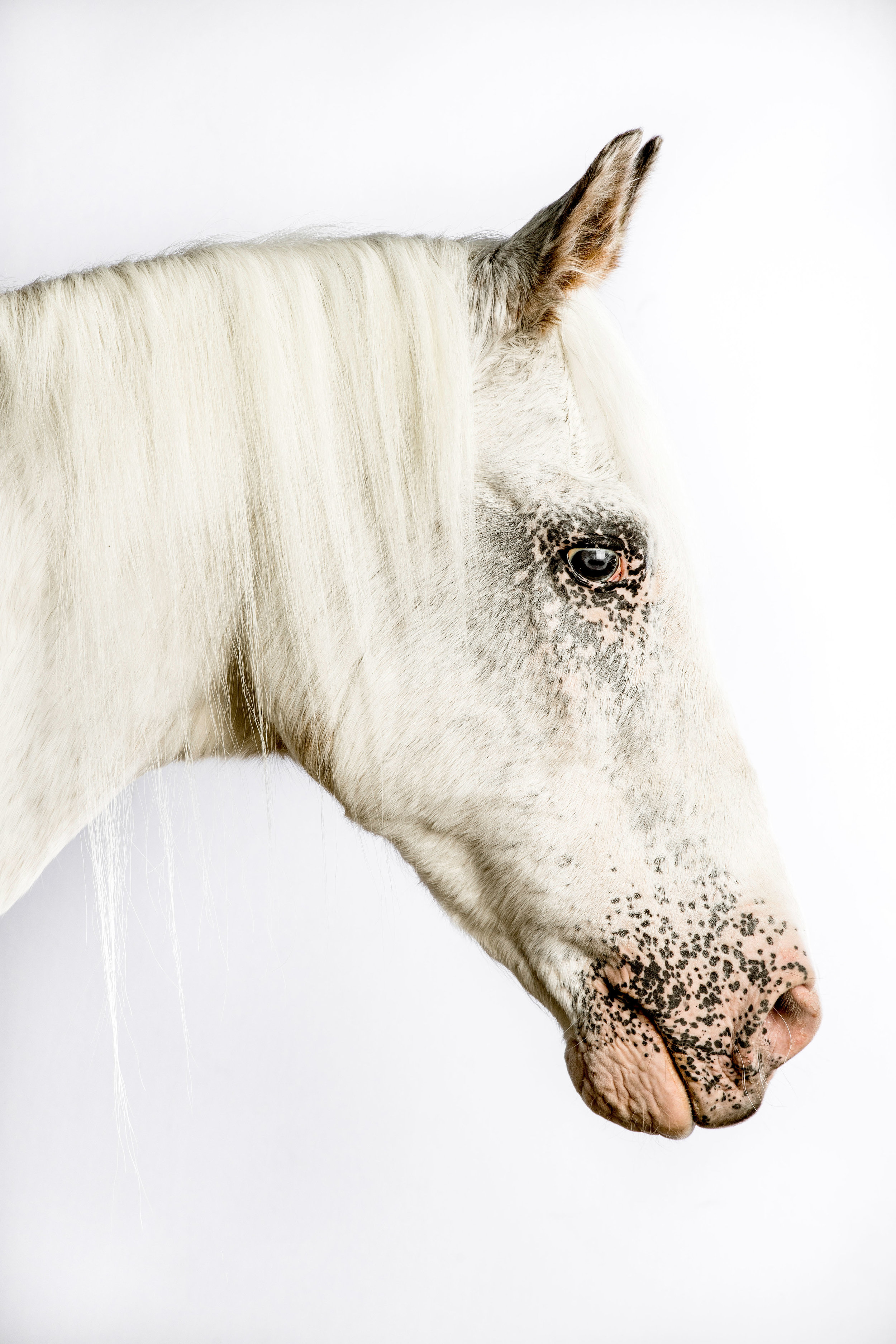 Grace Costa Flash.jpg