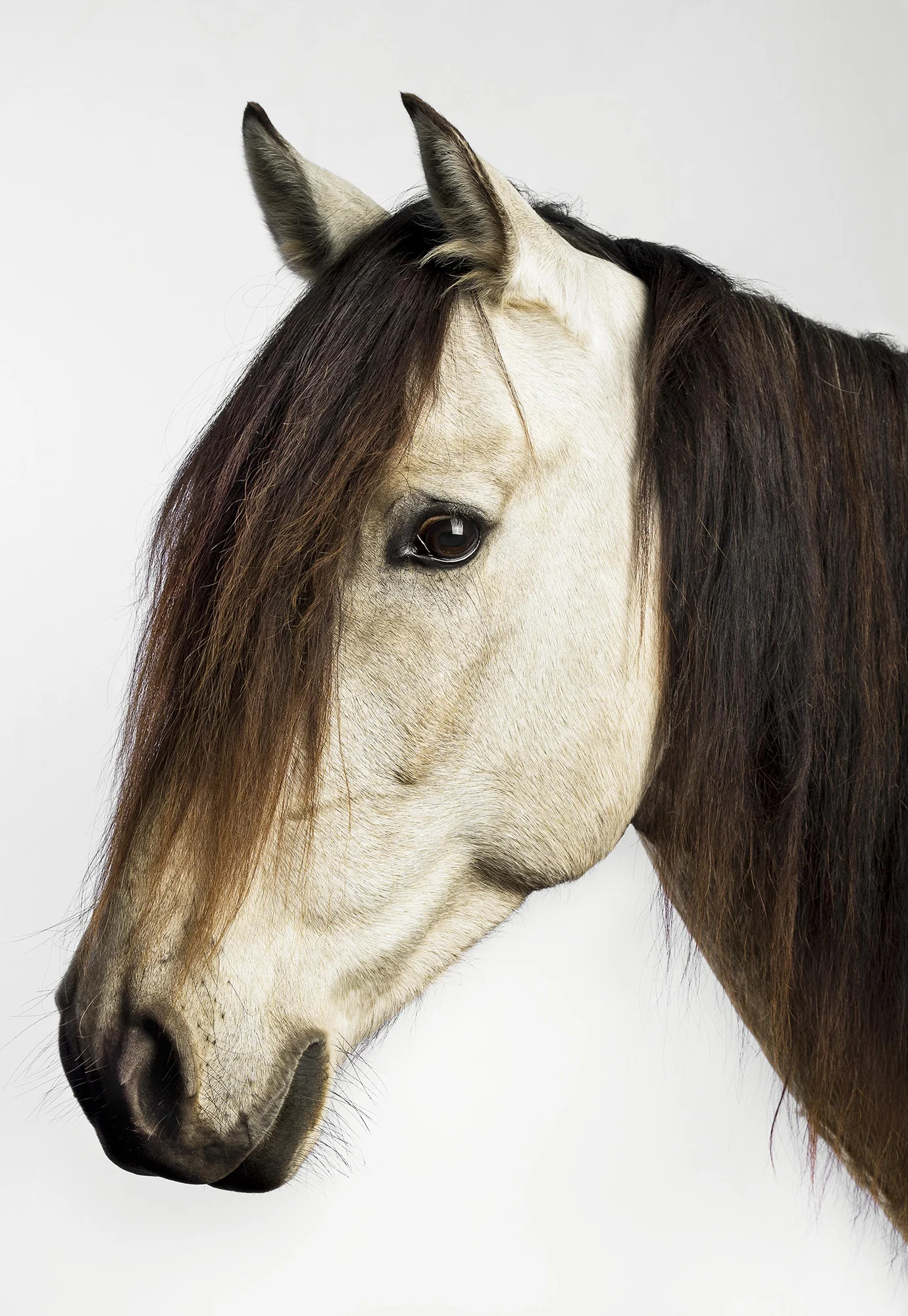 Jazz- Grace Costa.jpg