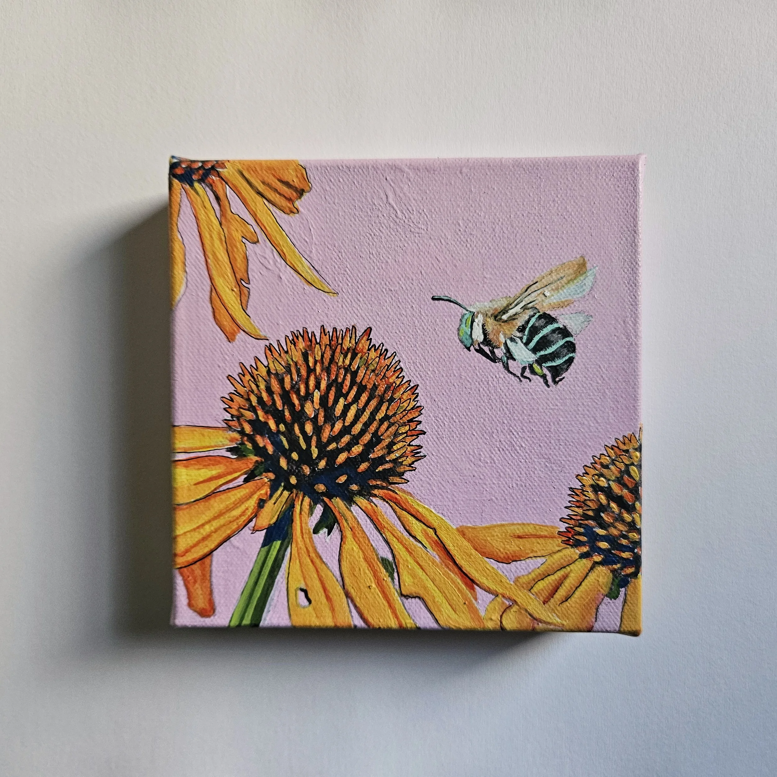 Blue-Banded Bee - mini