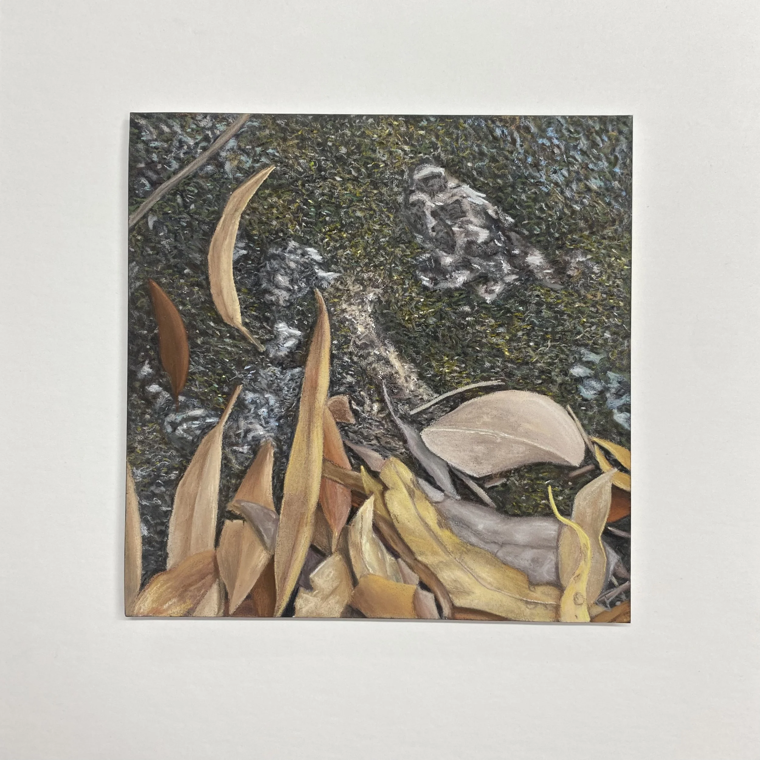 Forward motion (2).jpeg