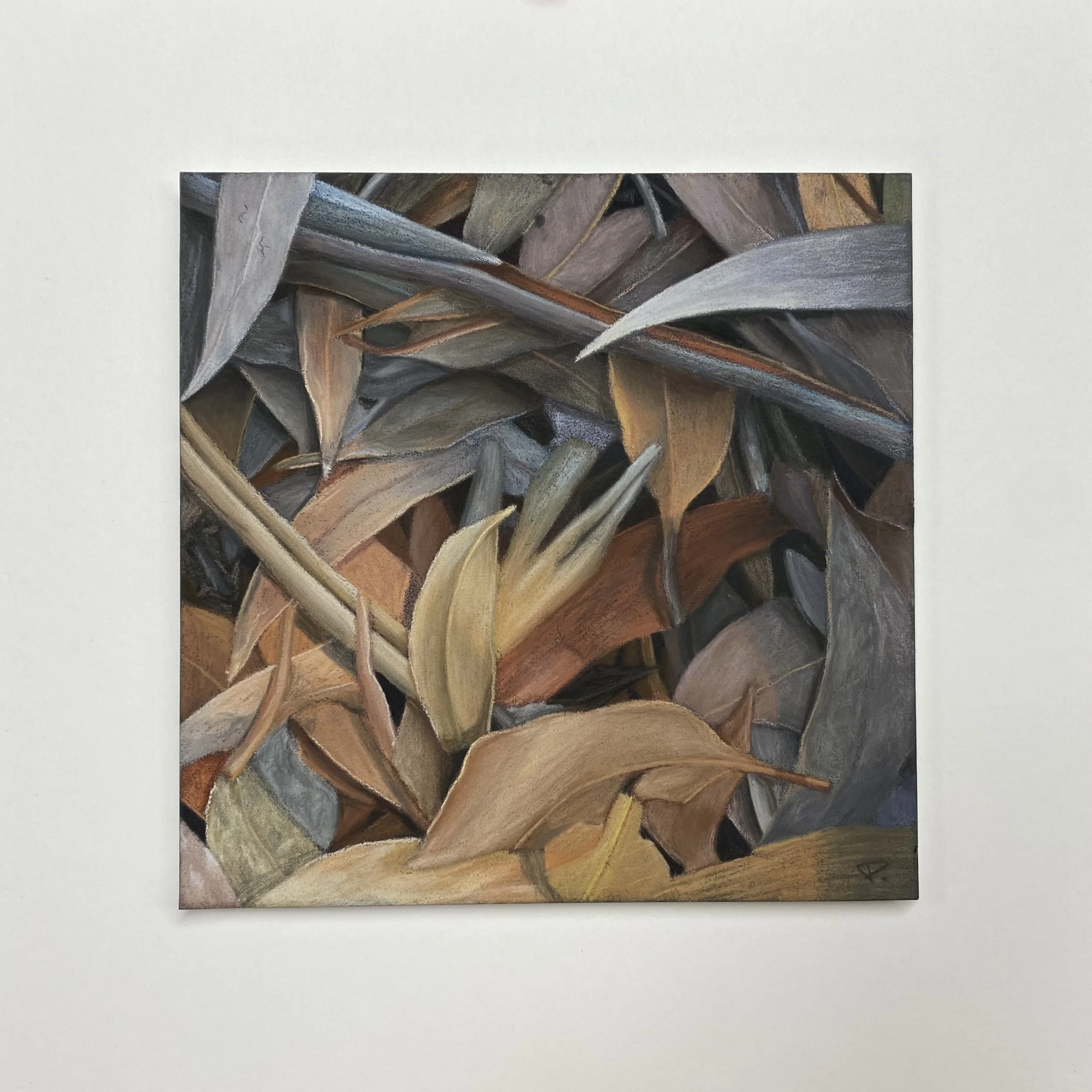 Fading light (2).jpeg