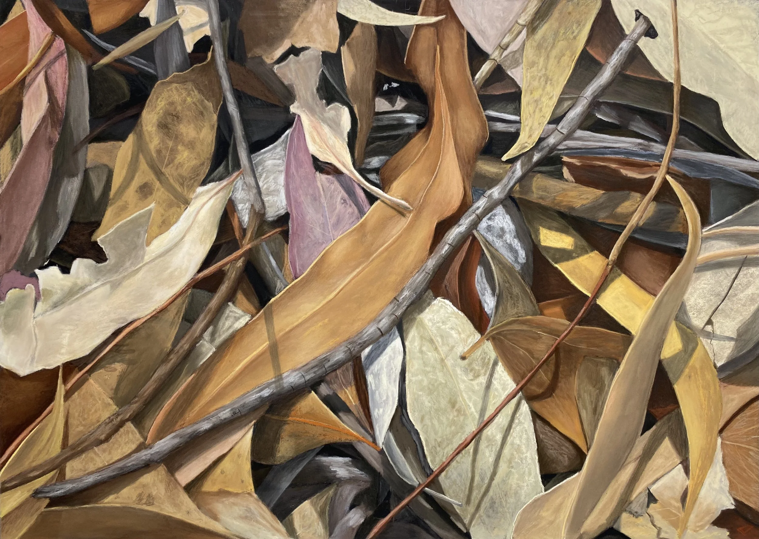 Amidst the forest floor