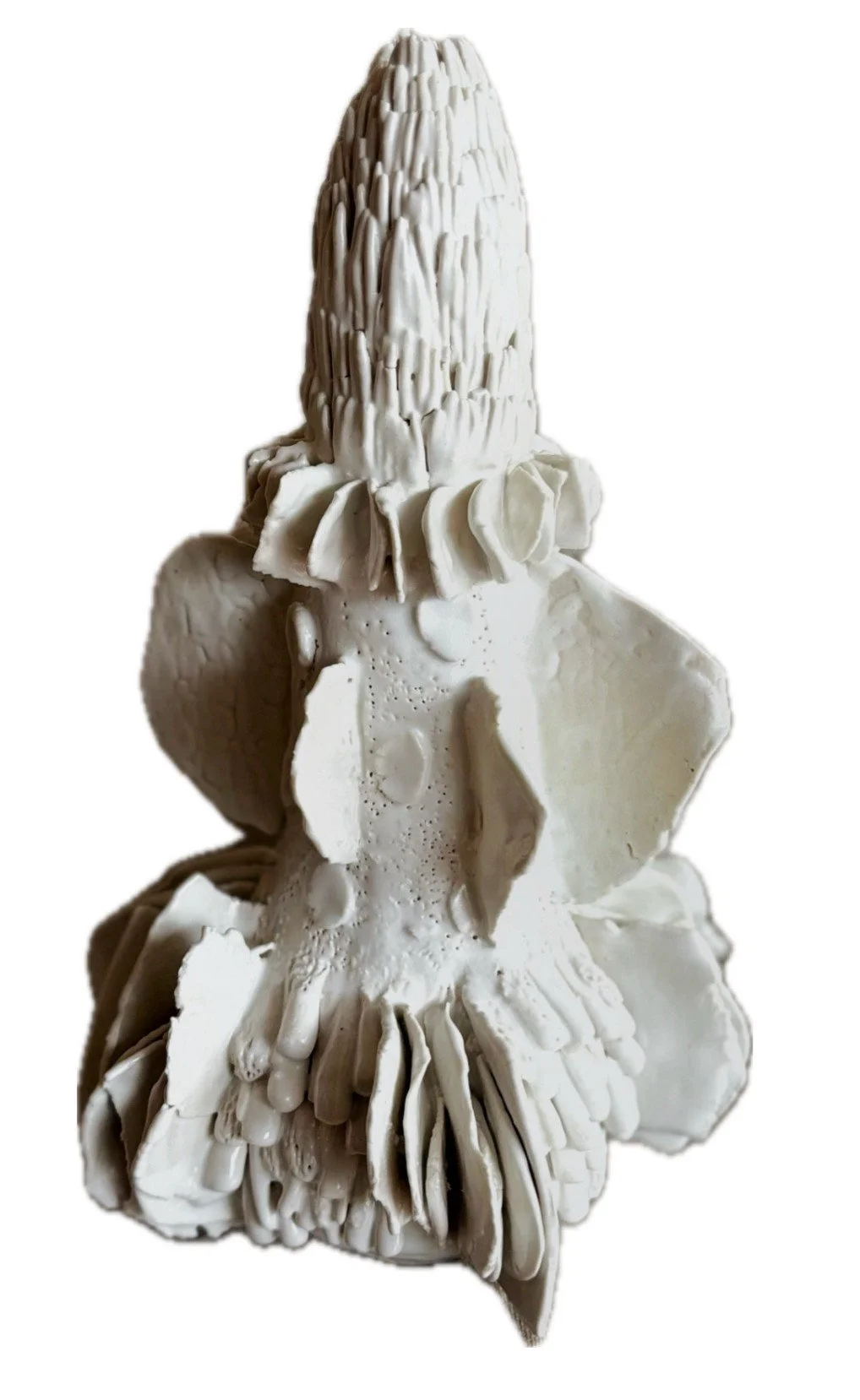 Melaleuca Banksia.jpeg
