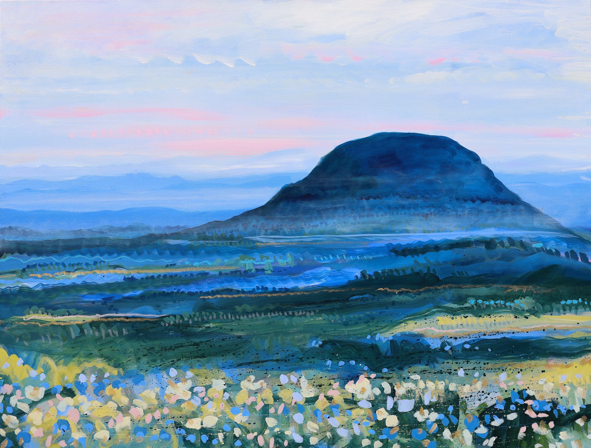 FROM THE WARRUMBUNGLES TO THE PLAINS - XANTHE MCCREA