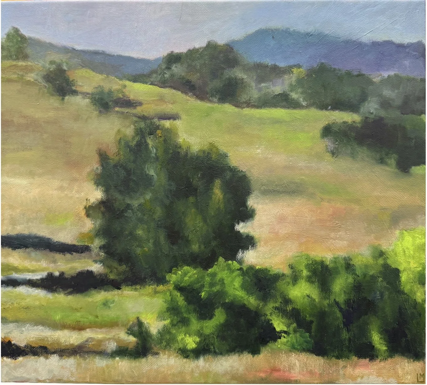 LUCiAMiG_DistantHilsGNGN (1).jpg