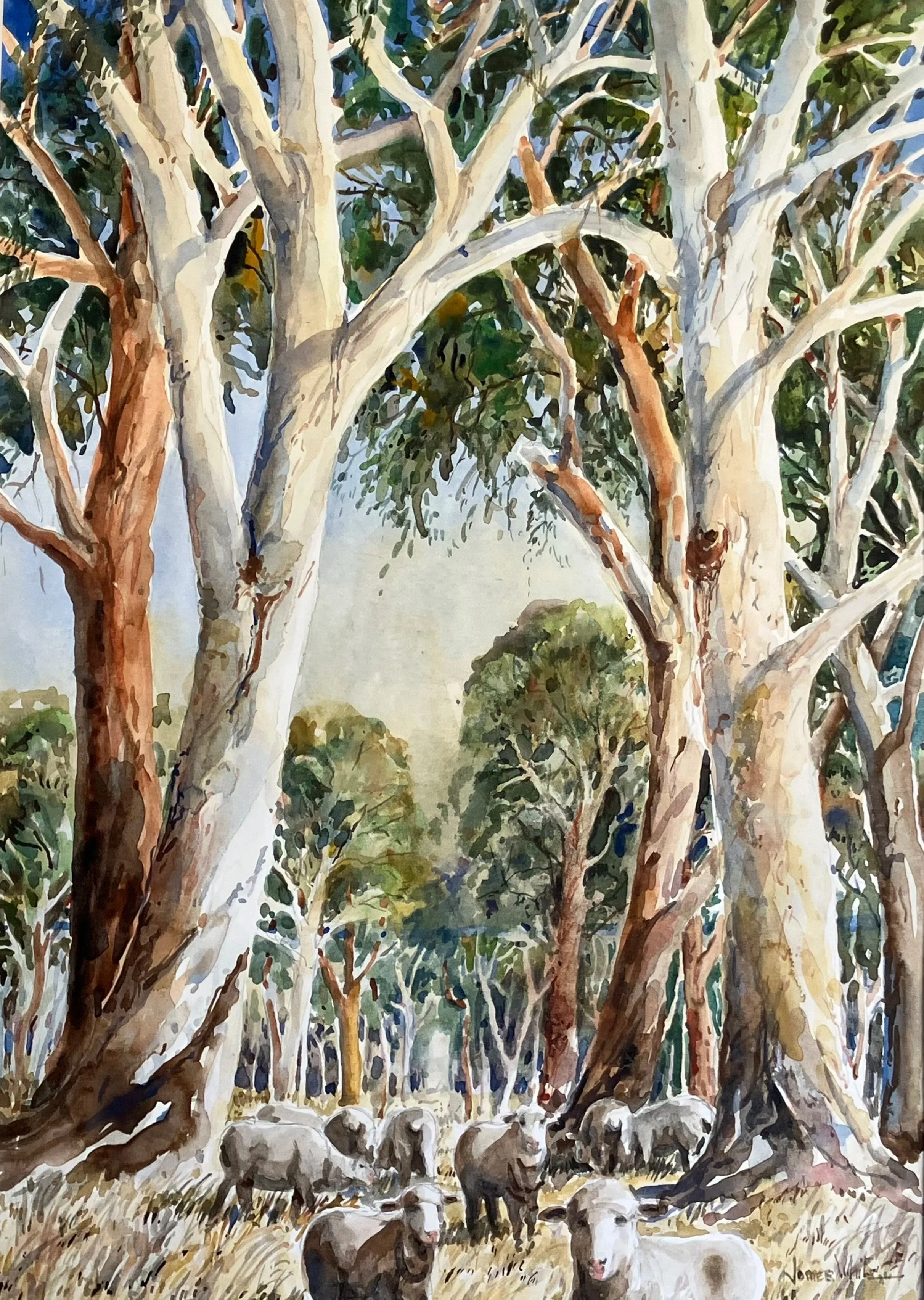 James+White_Home+among+the+gum+trees.jpg