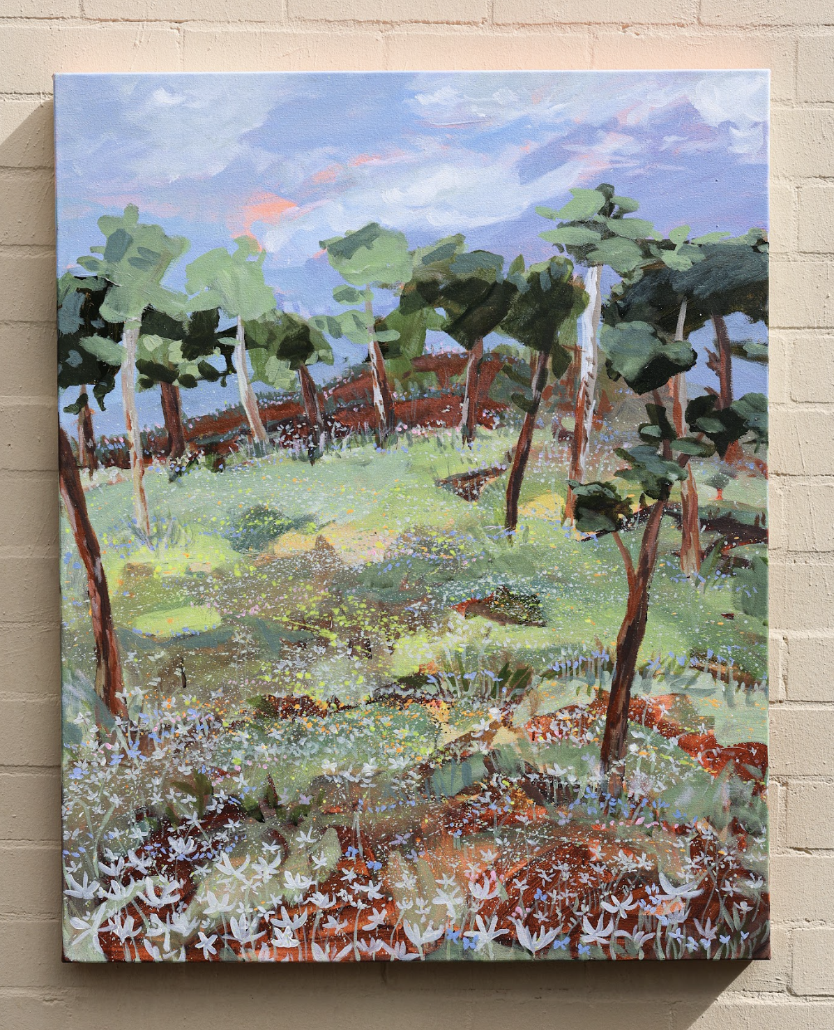 Screenshot 2025-05-14 at 11.13.34 am.png