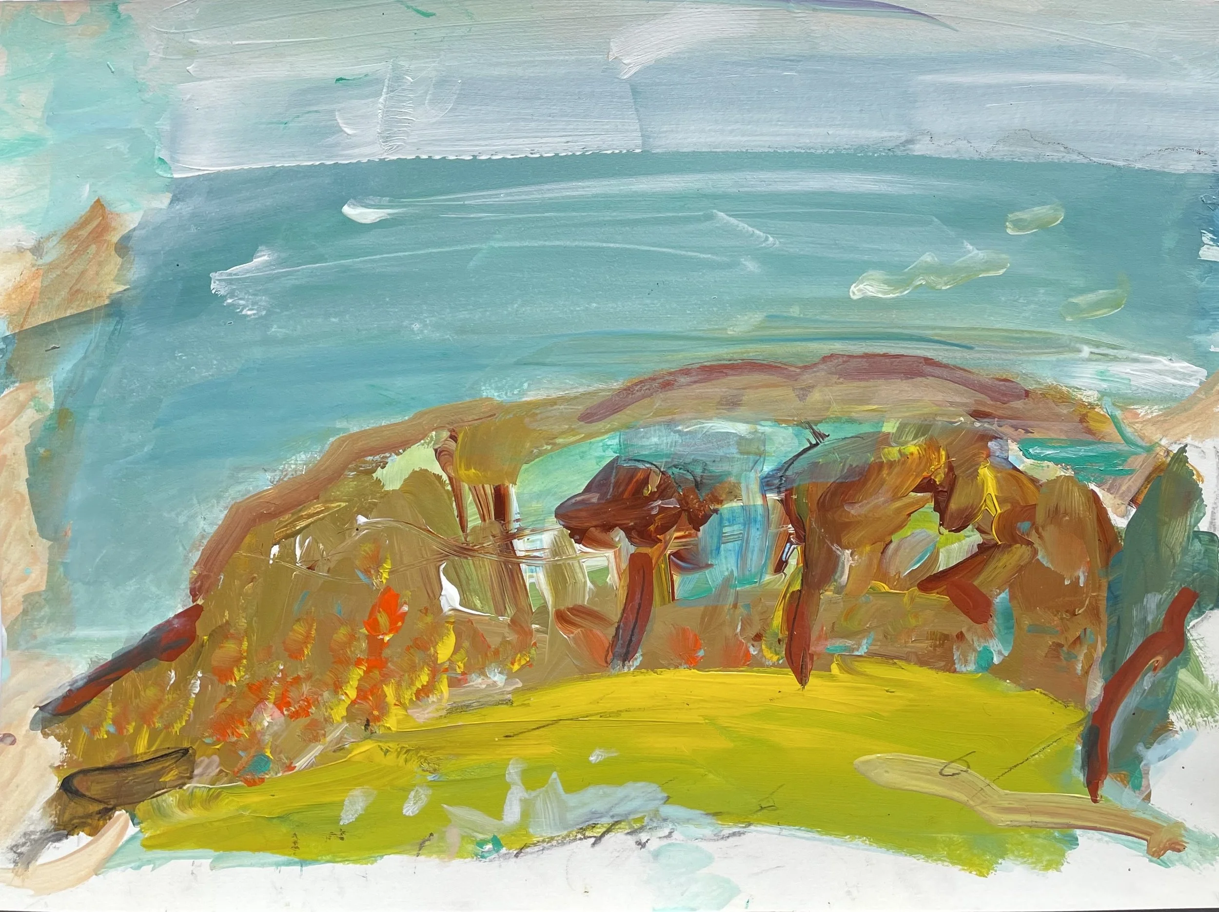 VIEW FROM THE HEADLANDS