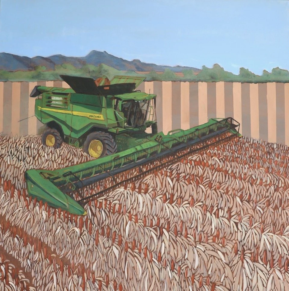 SUMMER SORGHUM HARVEST