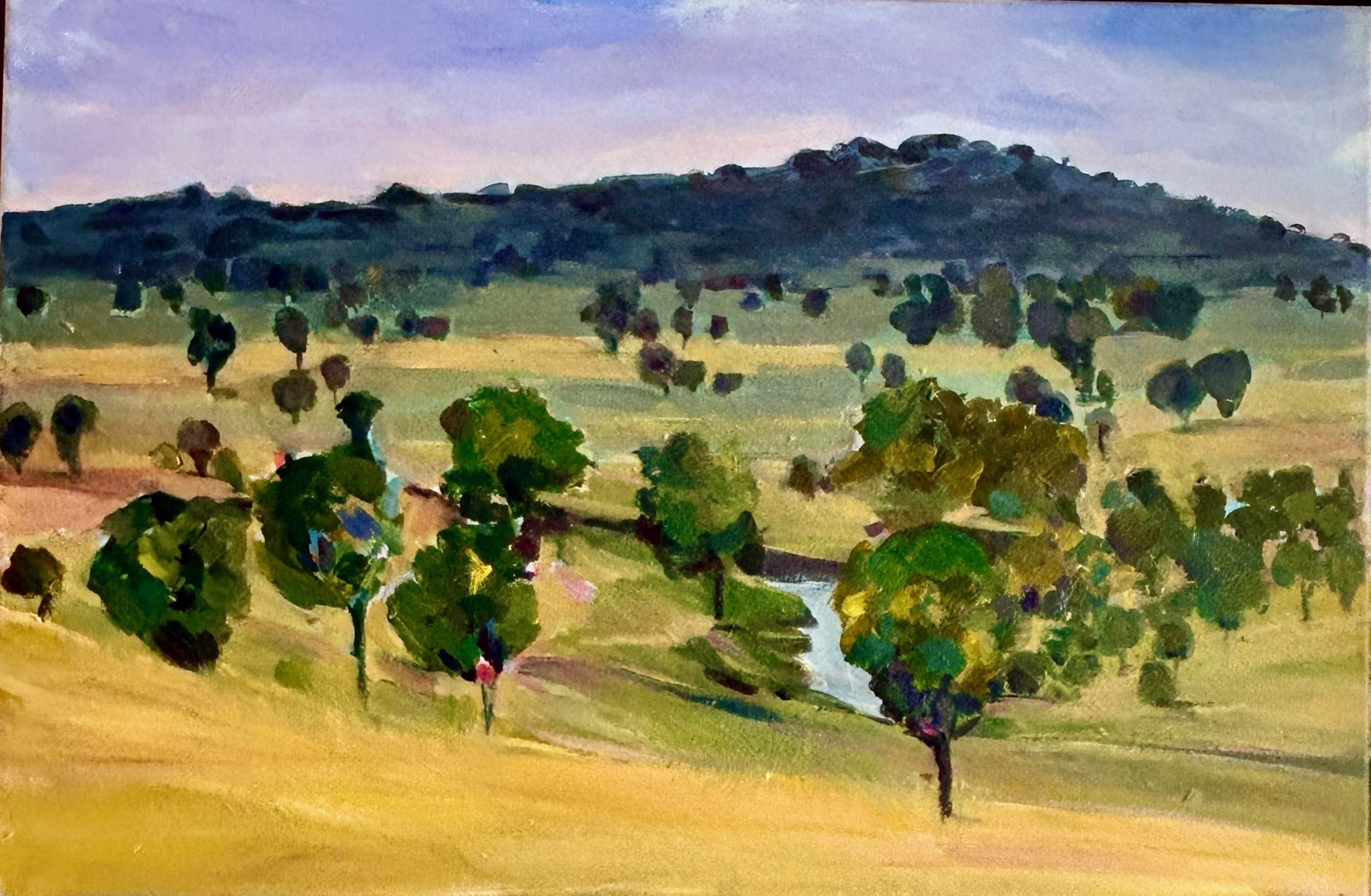 GoonooGoonoo#MWestcott (1).jpeg