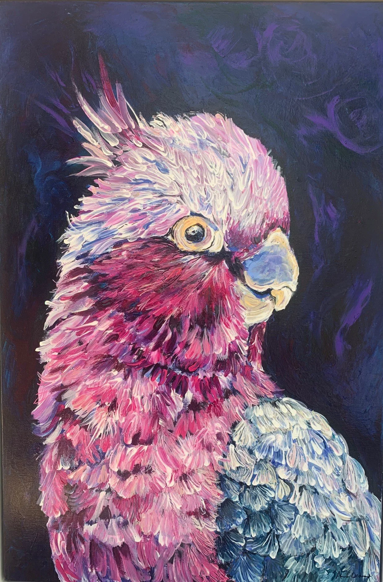 ADORABLY PINK, AUSTRALIAN GALAH