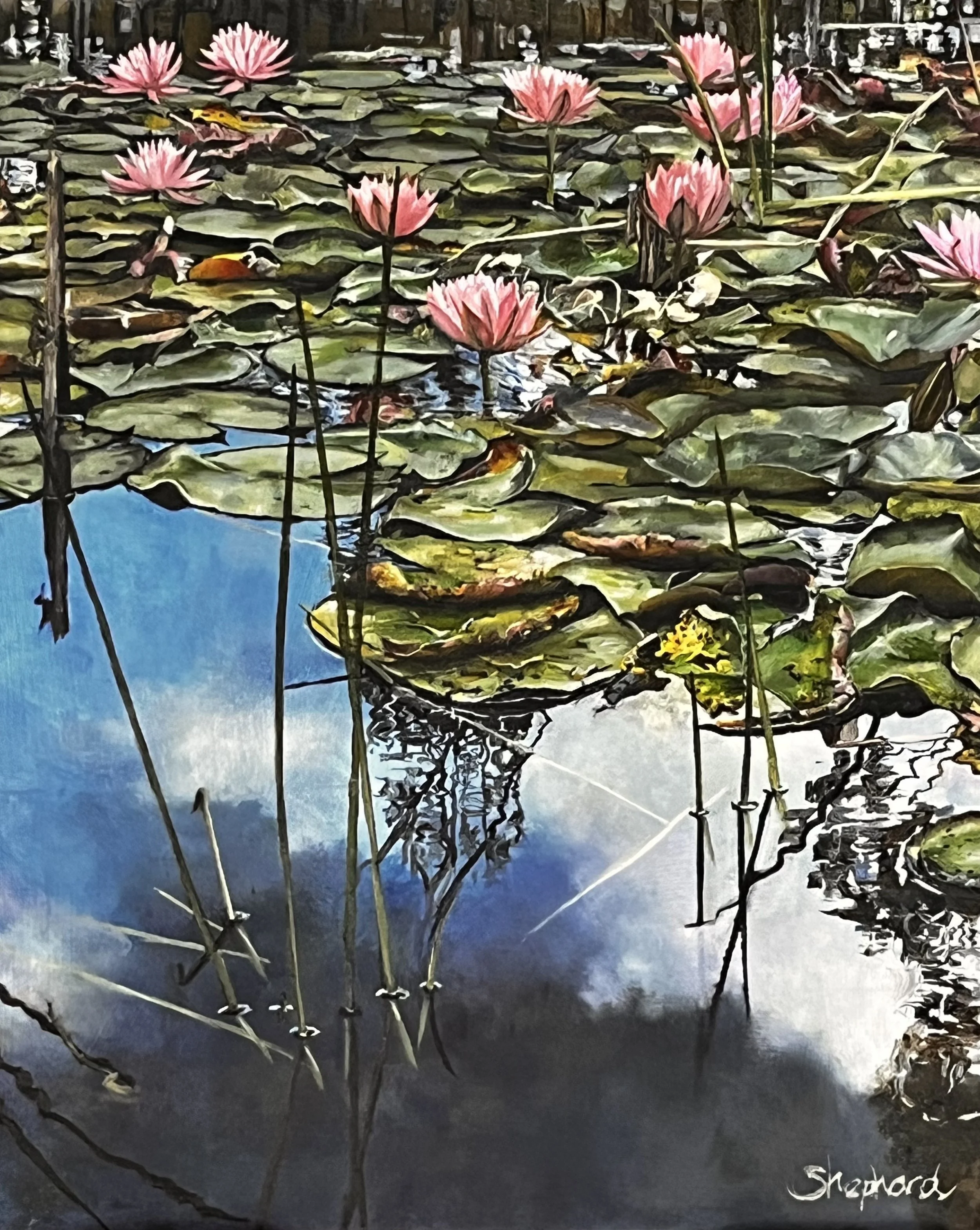 Jen Shephard, Pokolbin Lillies.jpeg