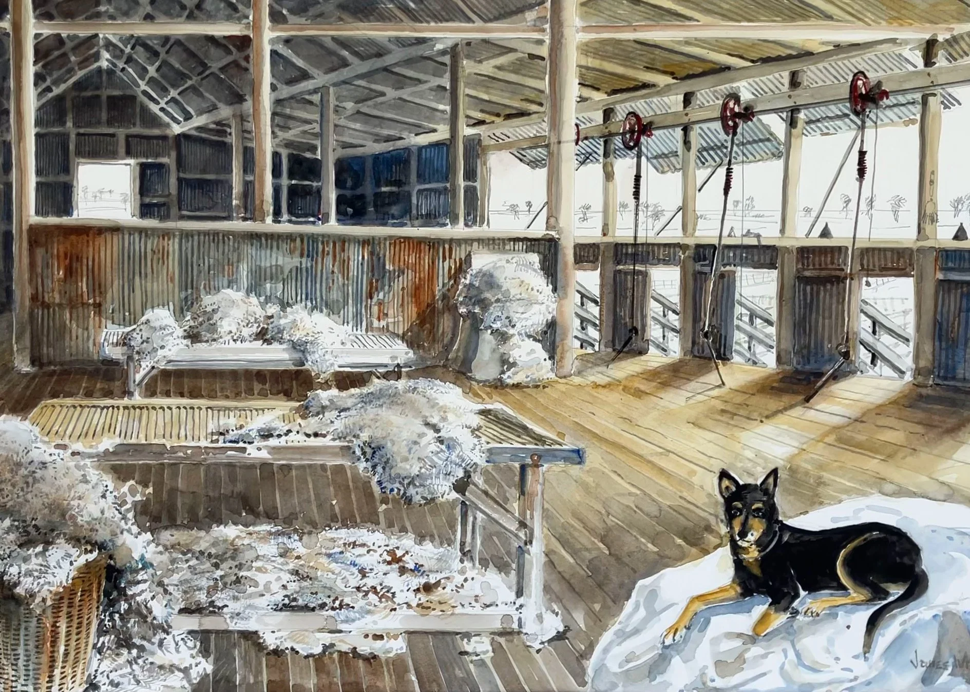 SHEARING BOARD - WHERE IS EVERYBODY?