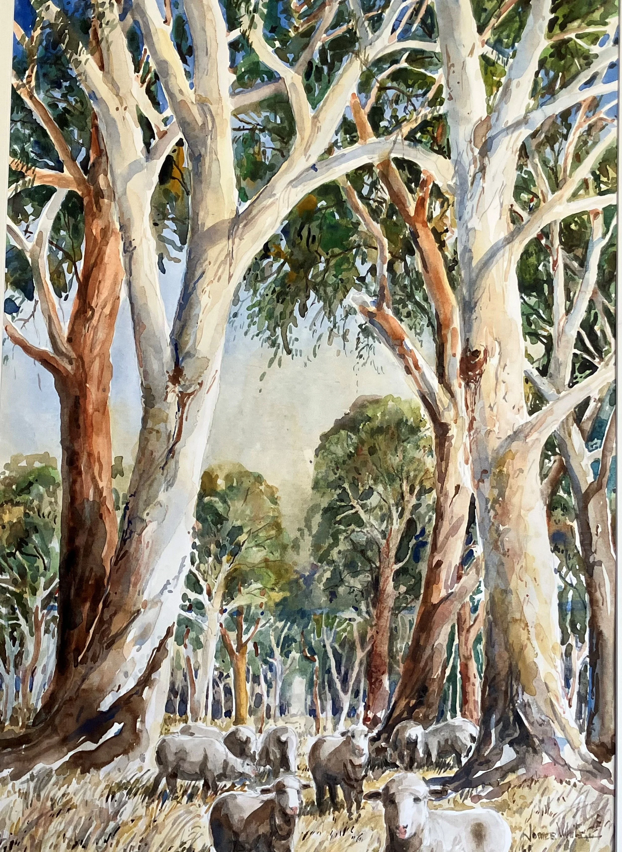 HOME AMONG THE GUM TREES