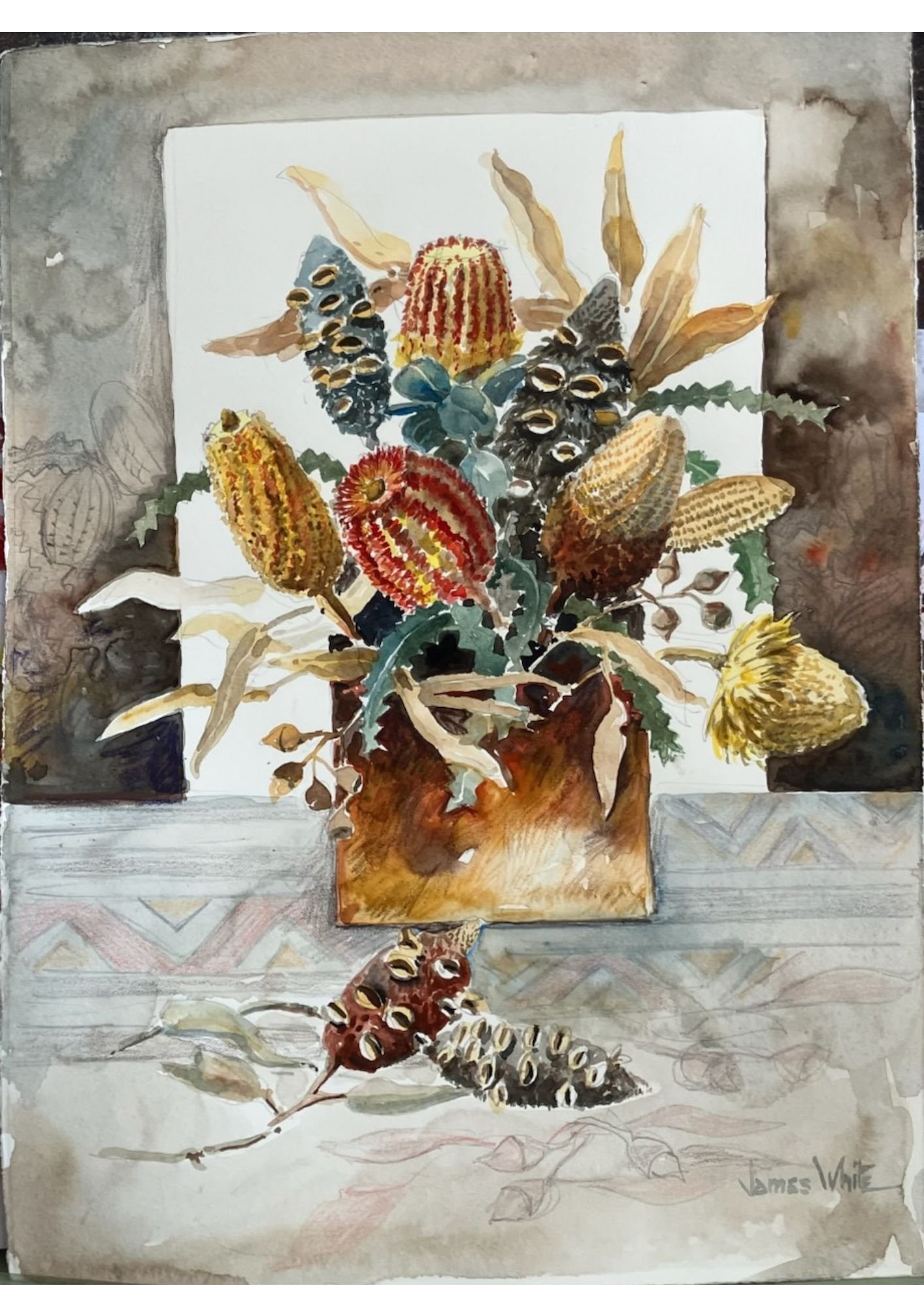 BANKSIA