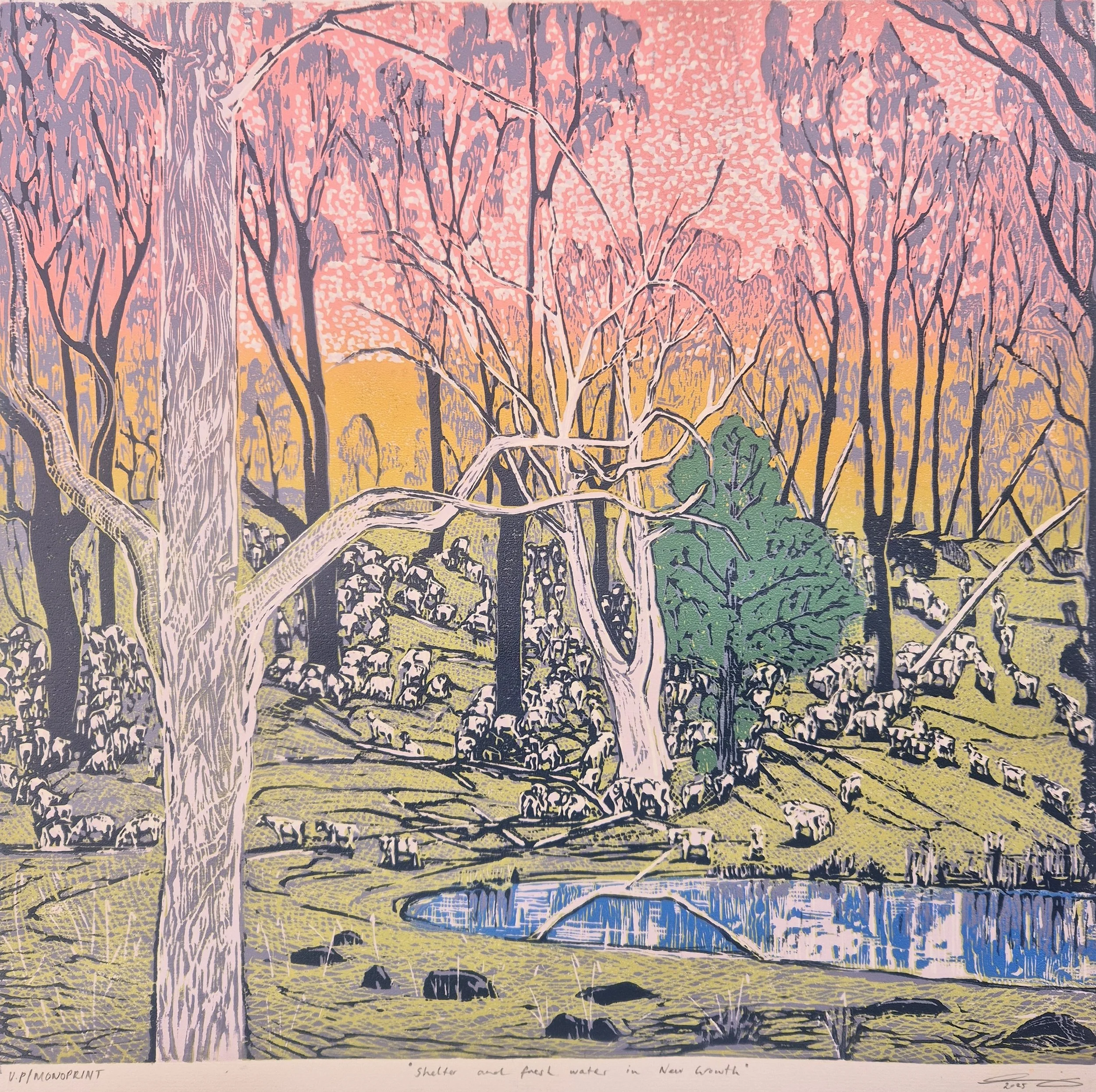 Shelter and fresh water in New Growth