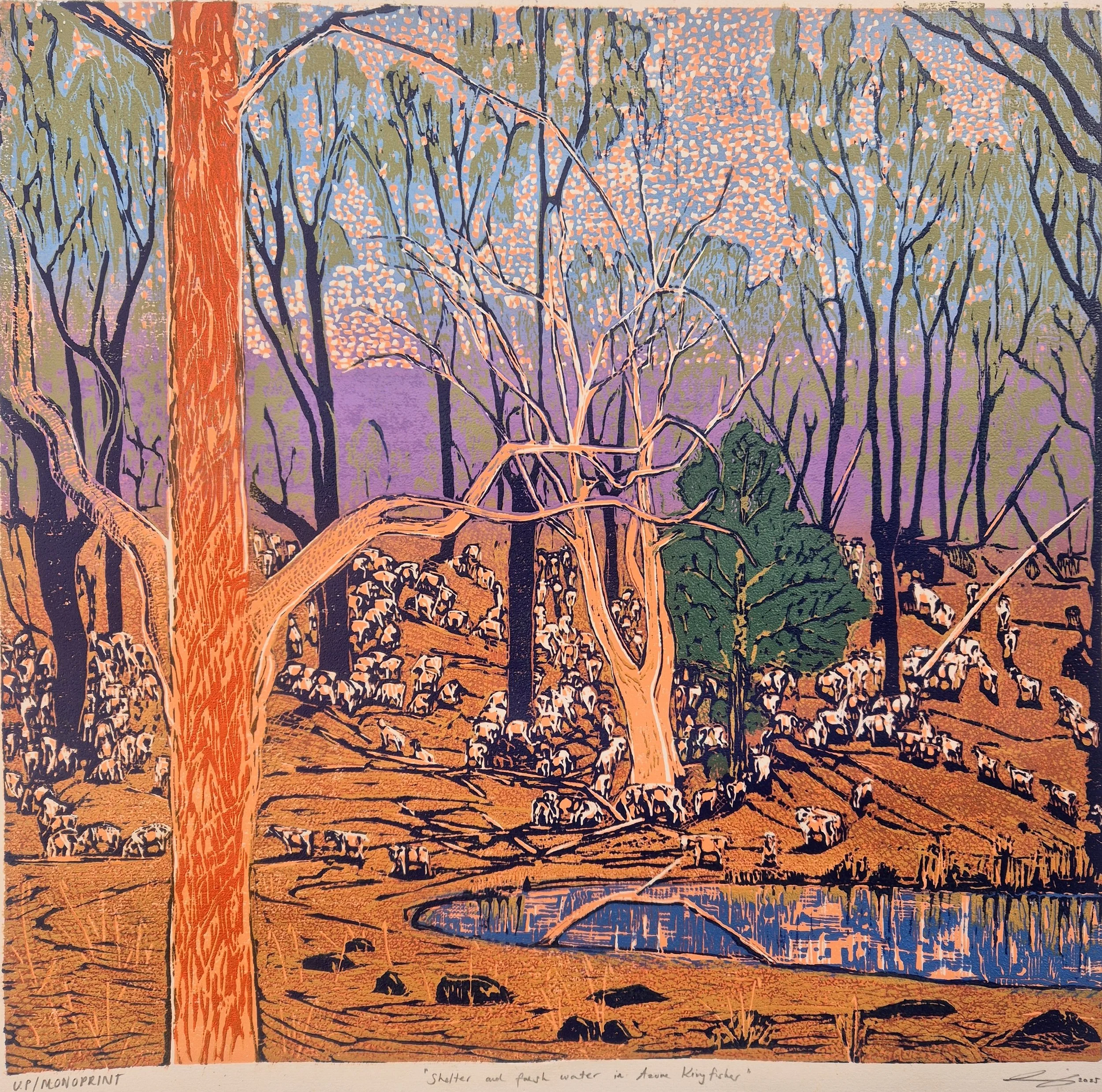 Copy of Shelter and fresh water in Azure kingfisher.jpg