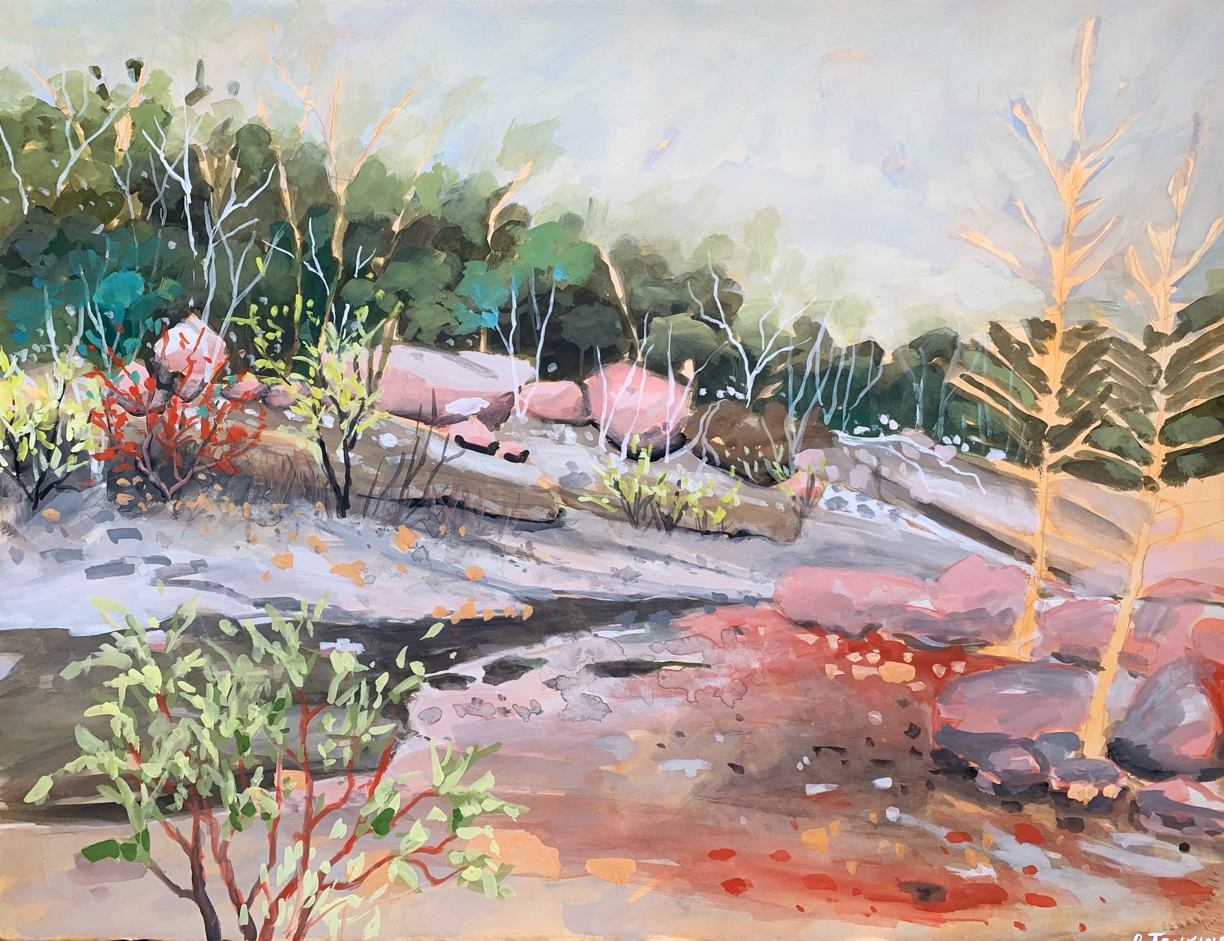 Paula Jenkins_The Mystic, Girraween National Park_57x76cm_Gouache on paper_$2800.jpg