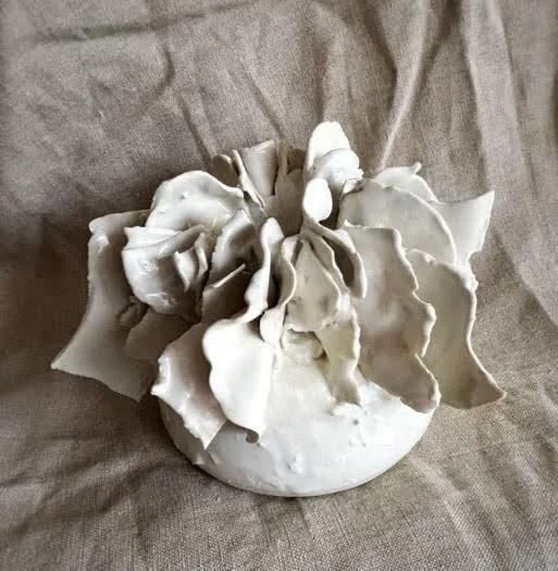 Eucalyptus soundscapes