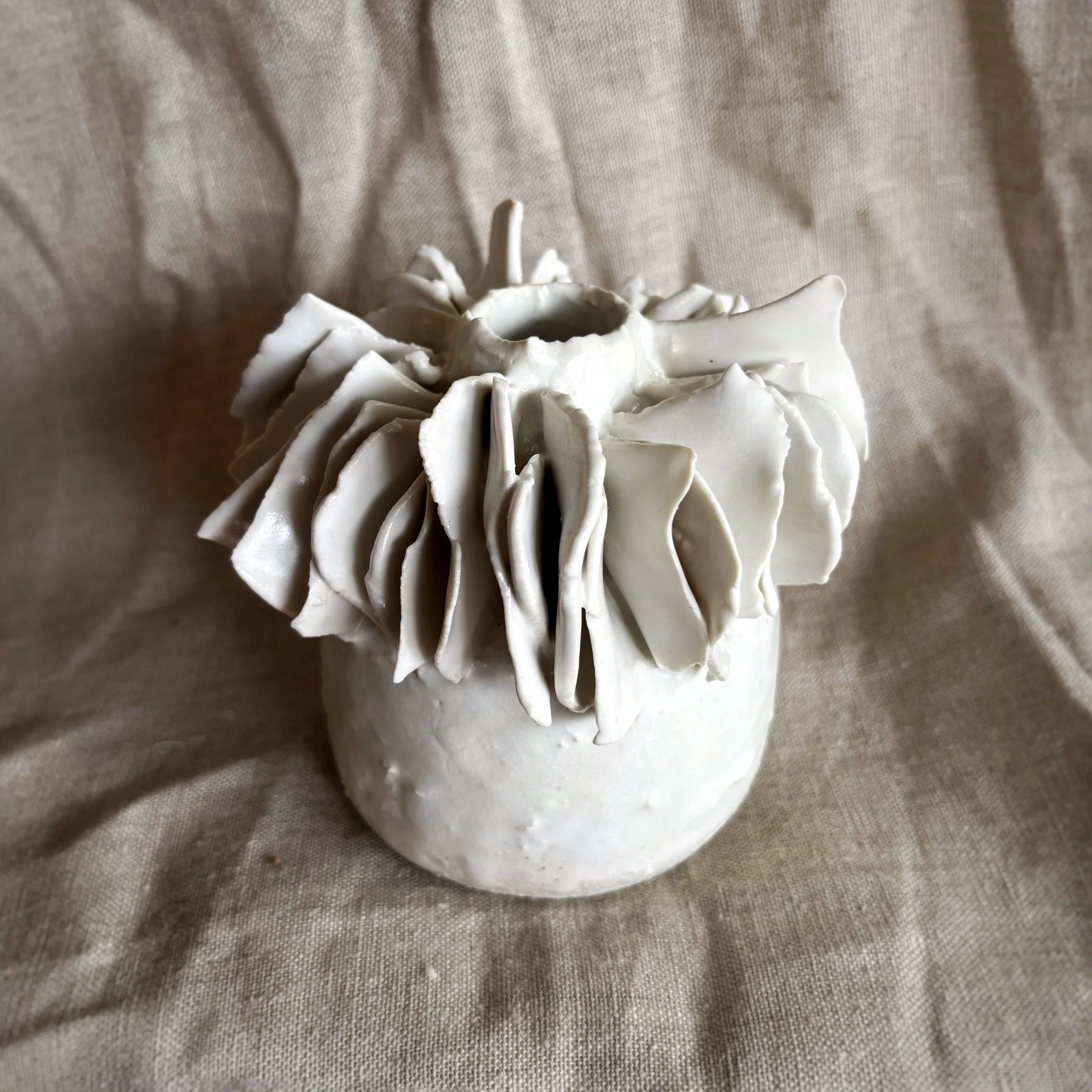 Windmills and rock pools