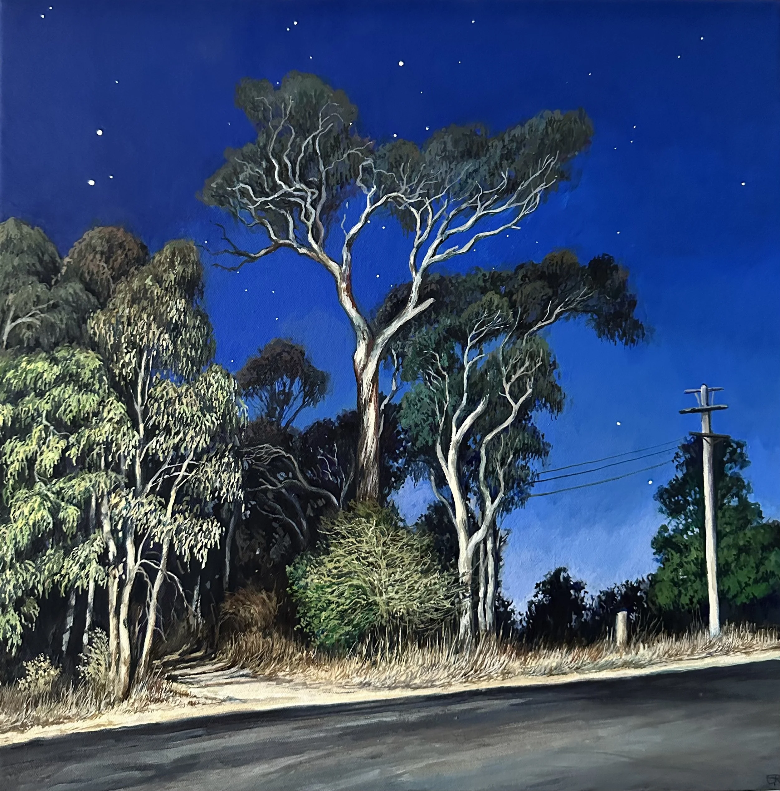 Nightfall, Bona Vista Road