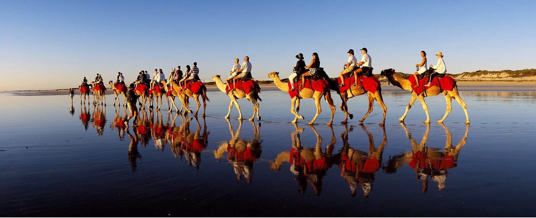 Cable Beach Camels, Broome. Kimberley