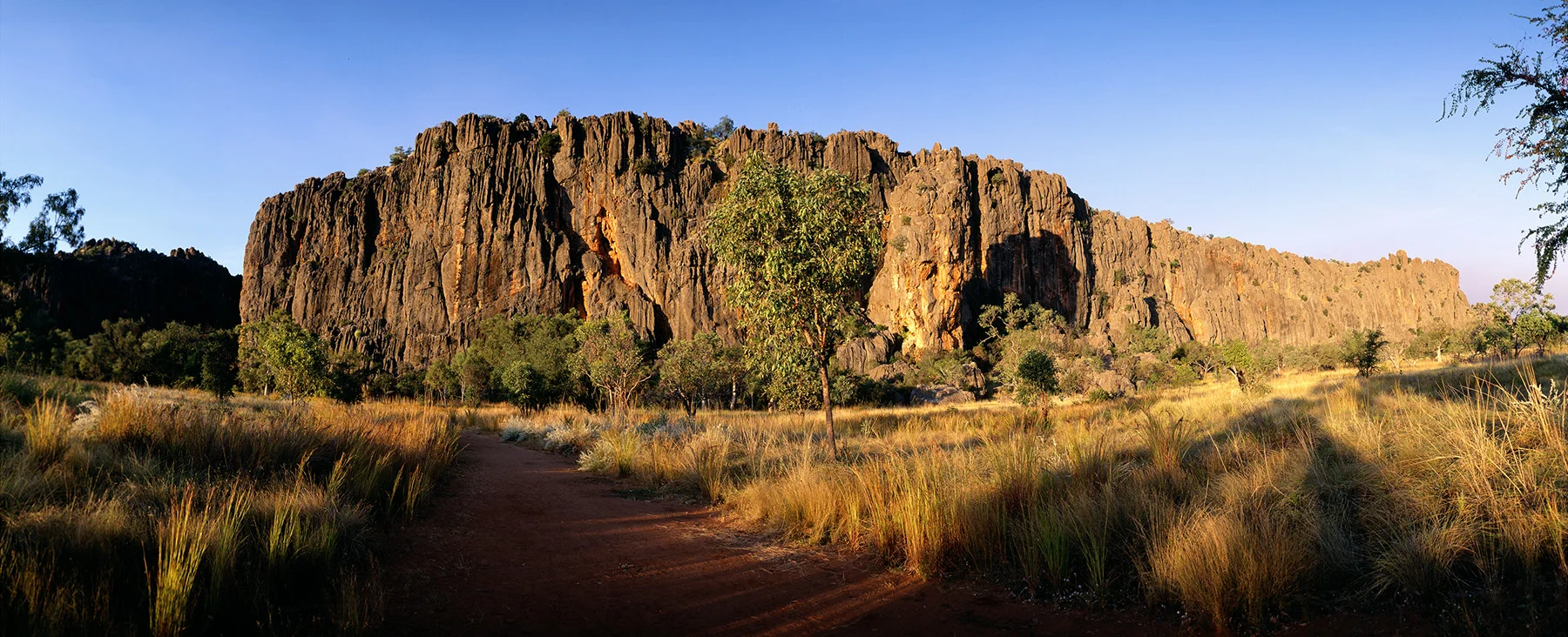 Windjana Gorge (Entrance Wall) King Leopold Ranges. Kimberley