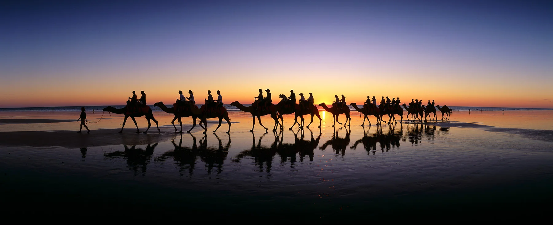 Sunset Camels - Cable Beach, Broome. Kimberley