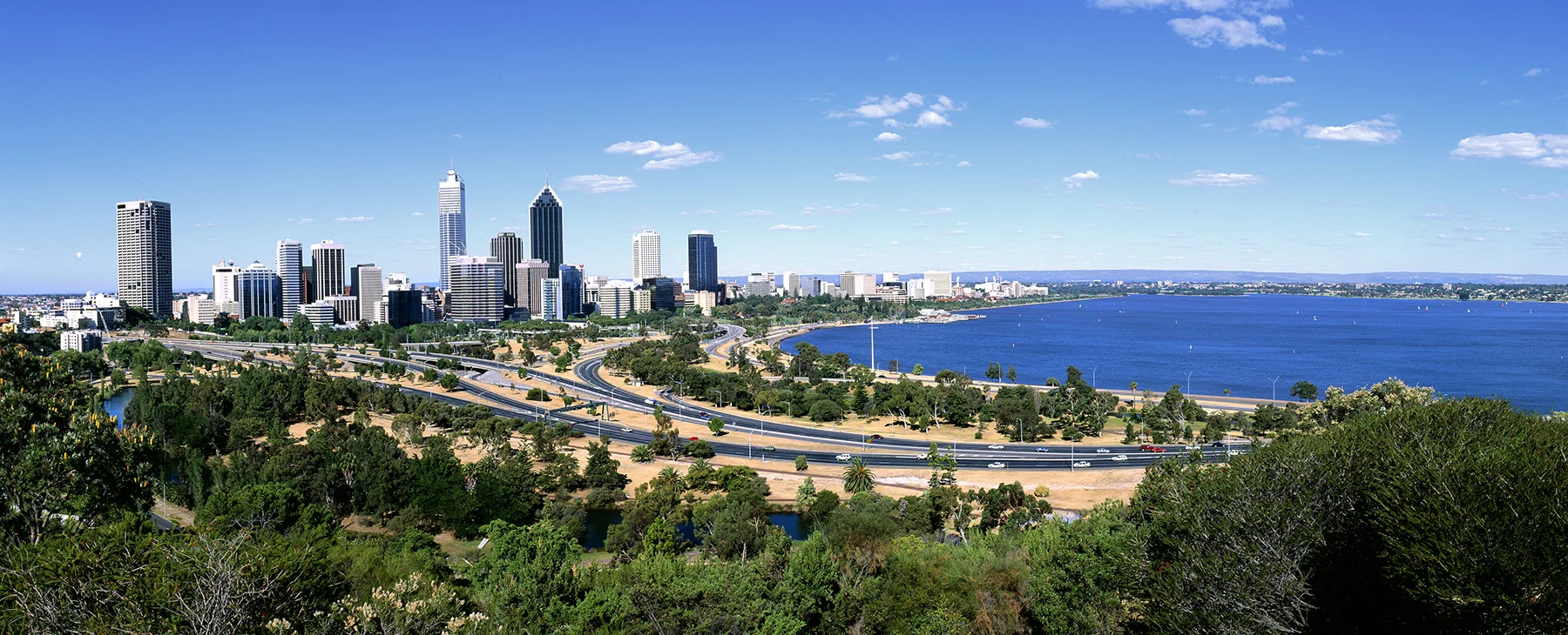 Perth City in the Day, from Kings Park