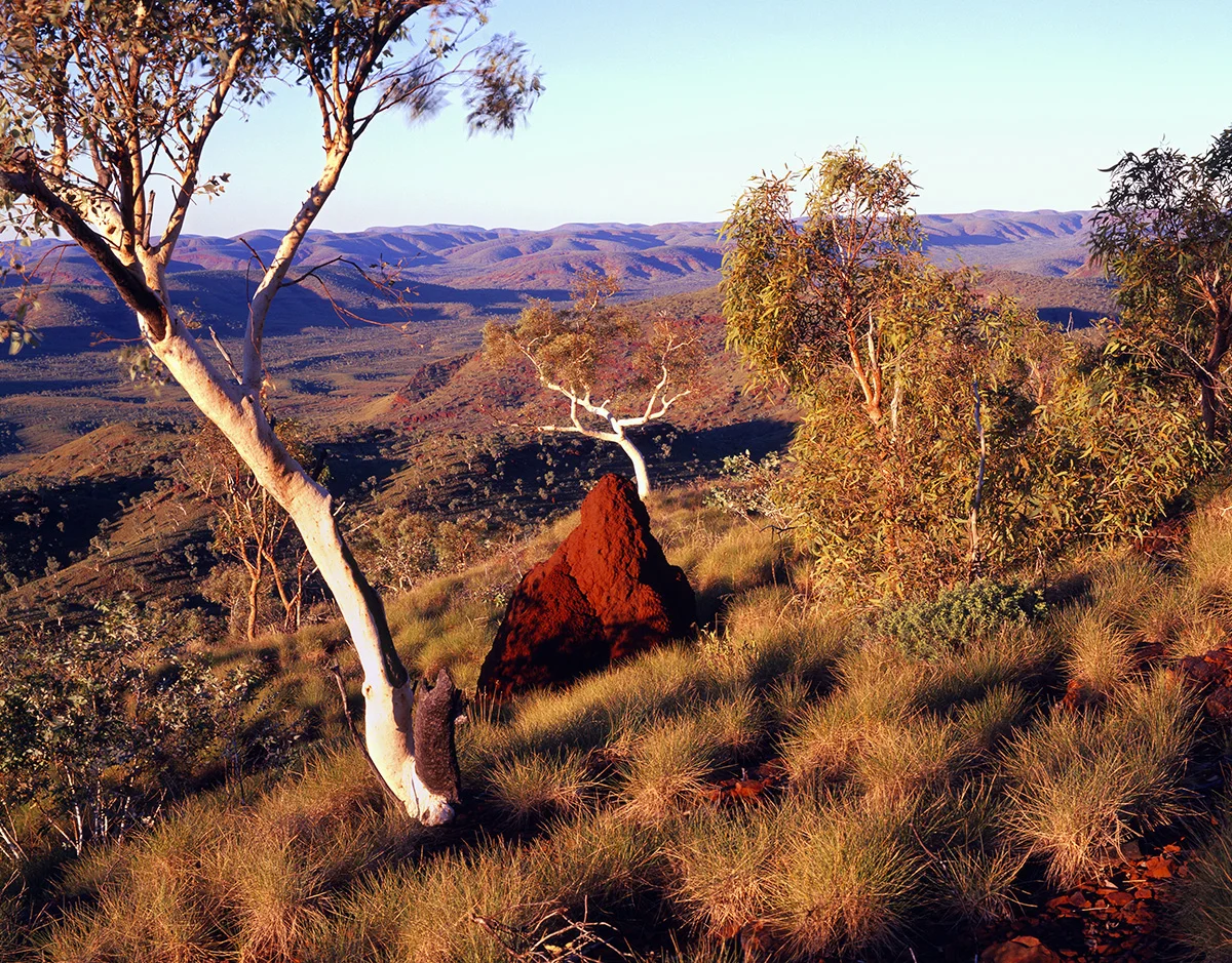 Mt Sheila with Anthill, Karijini National Park. Pilbara