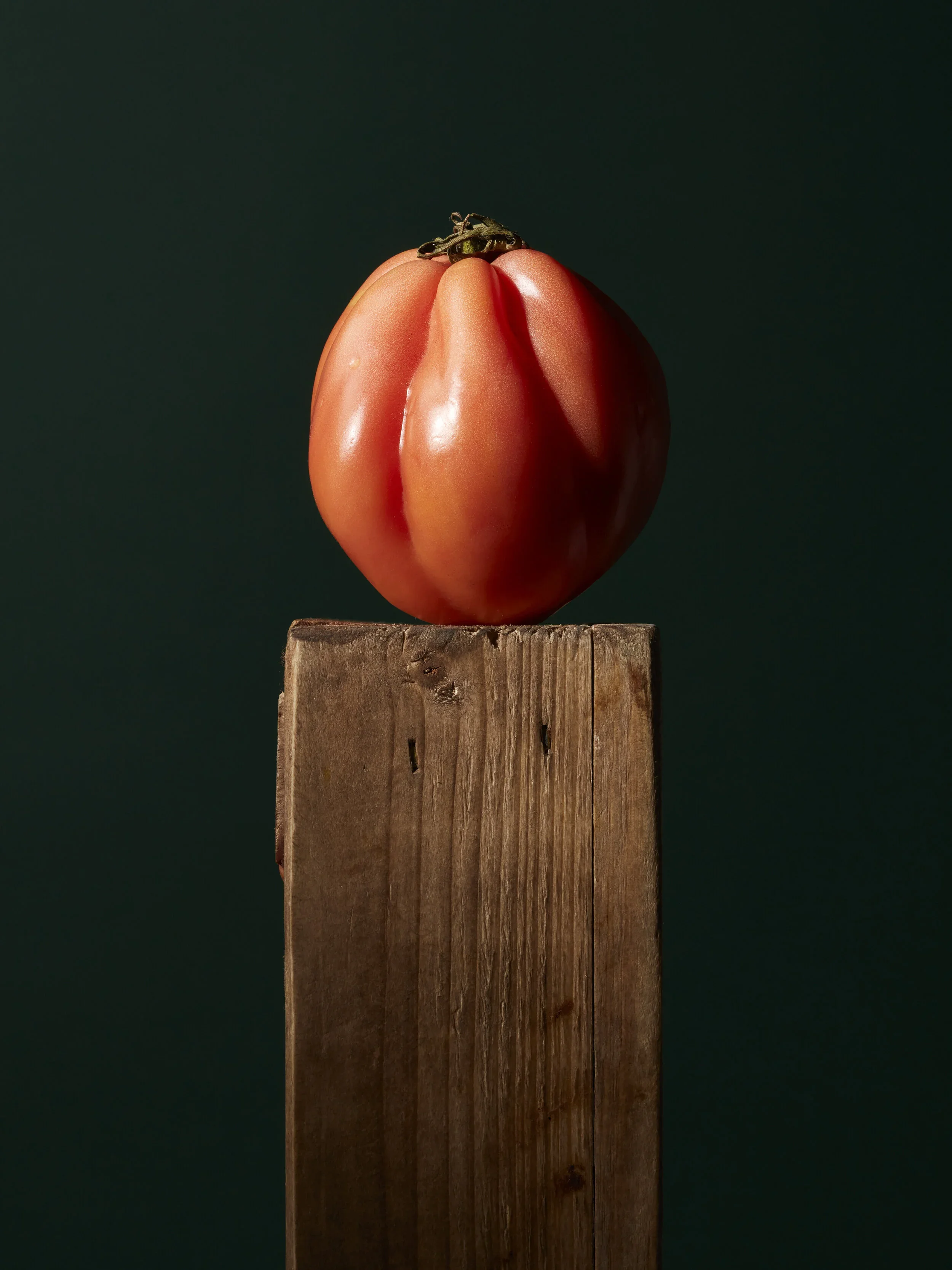 0009.jpg.webp