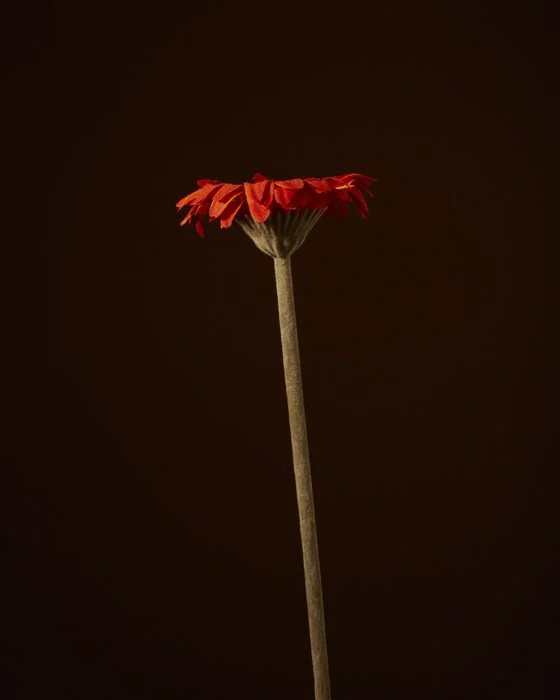FAKEFLOWER4286.jpg