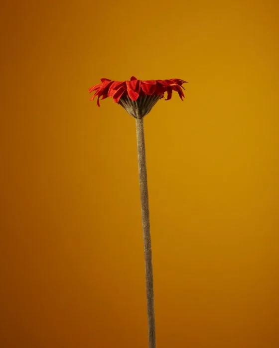 FAKEFLOWER4290.jpg