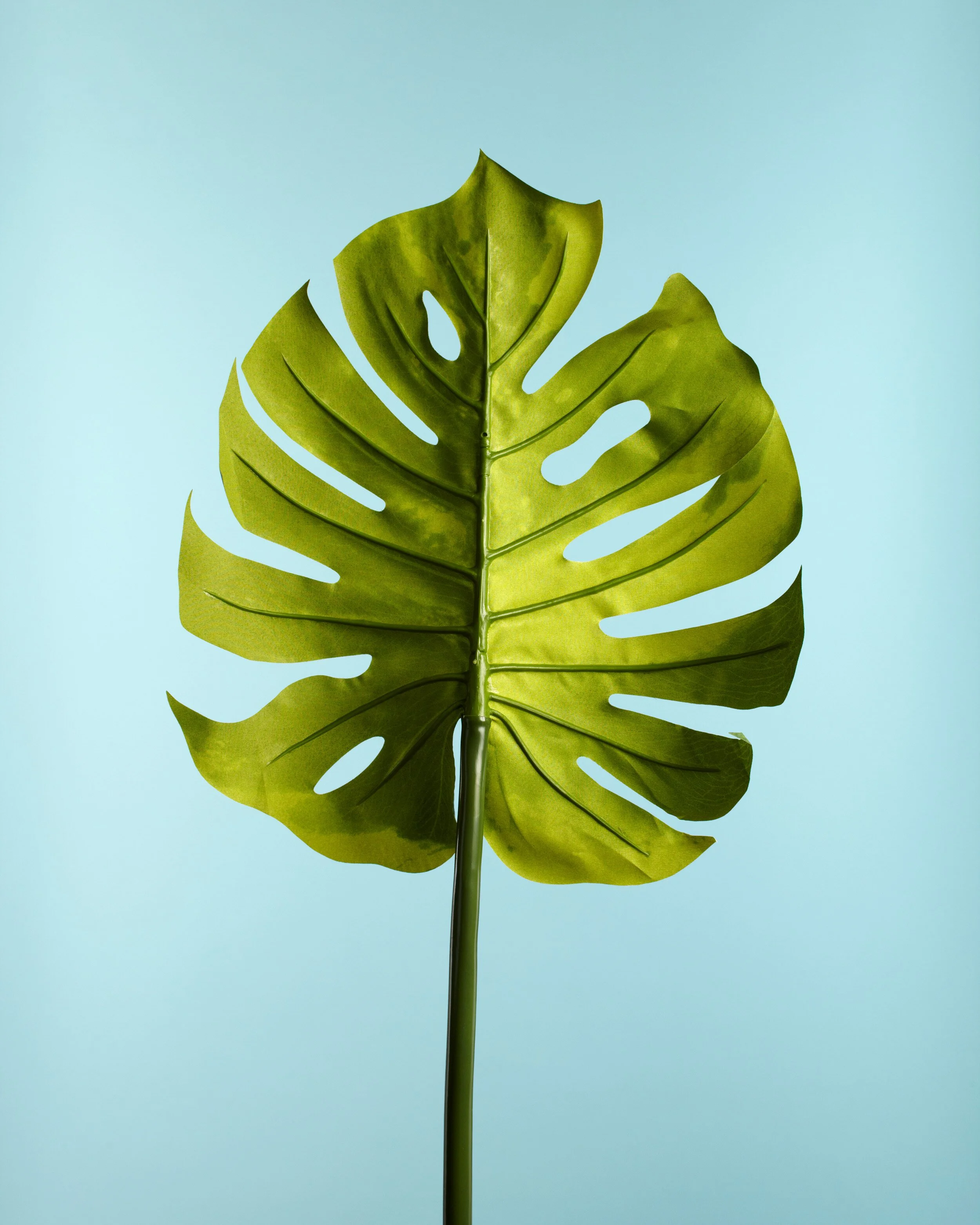 FAKEFLOWERS-7436.jpg