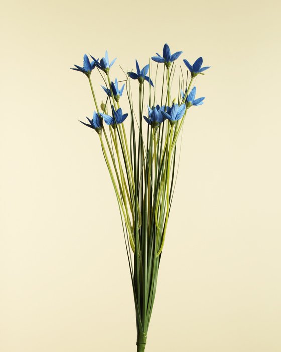 FAKEFLOWERS-7486.jpg