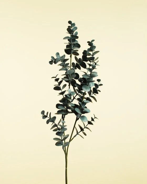 FAKEFLOWERS-7493.jpg