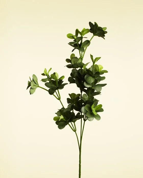 FAKEFLOWERS-7502.jpg