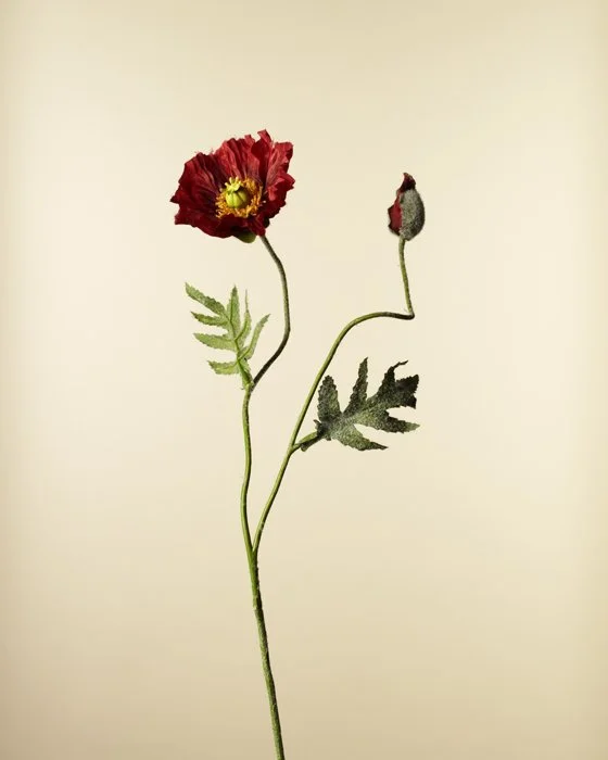 FAKEFLOWERS-7740.jpg