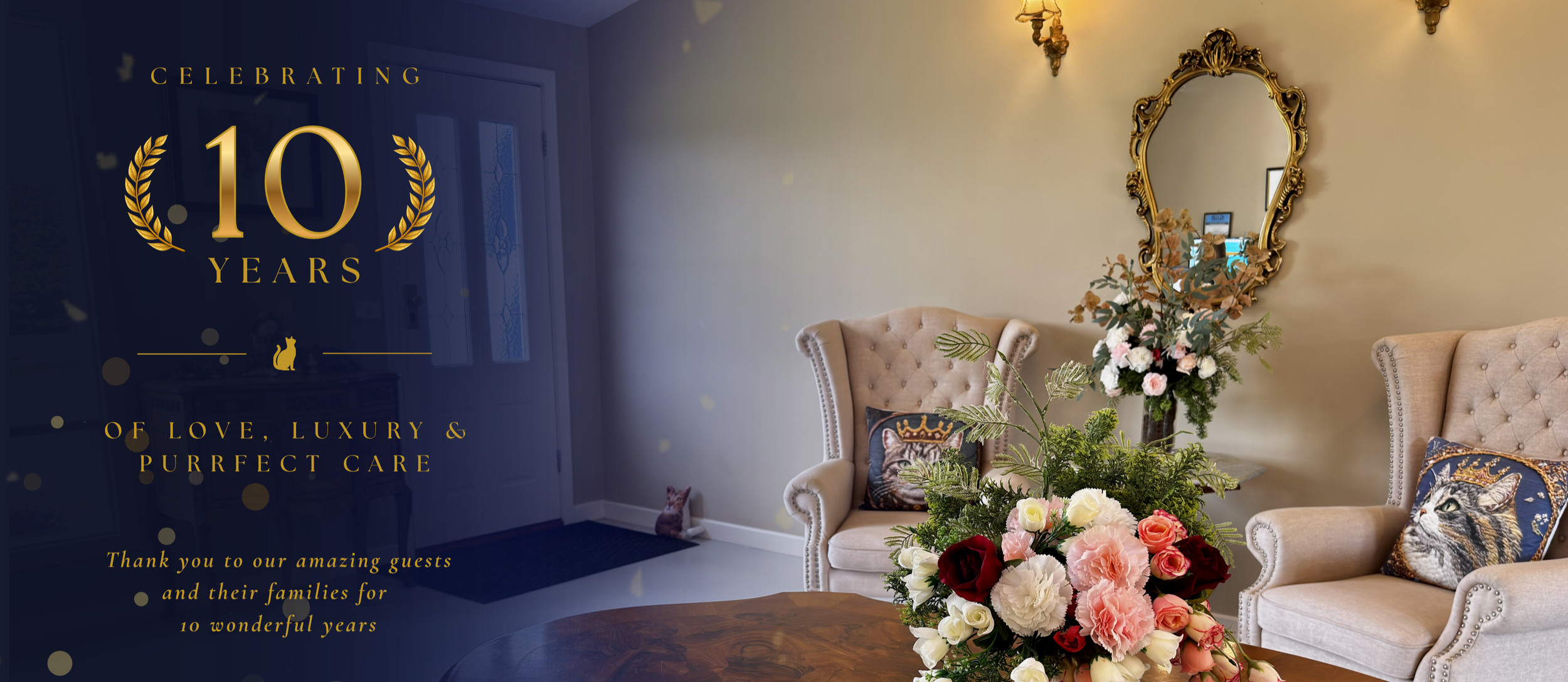 Website+banner.png