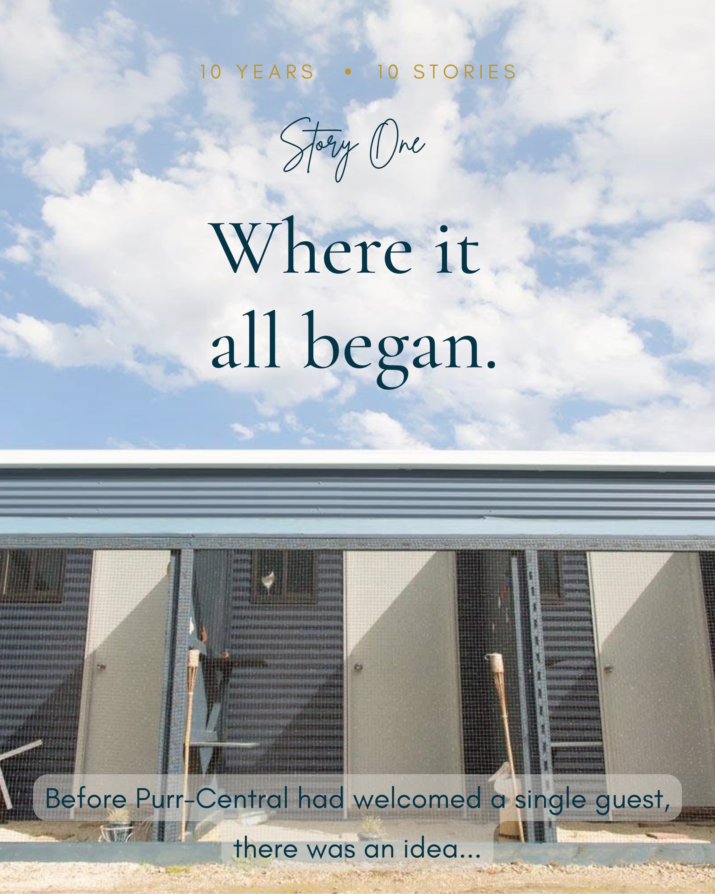 Ten years ago, Purr-Central opened its doors with a simple idea: to create a place where cats could enjoy a holiday of their own. 💙

What started as a small dream has grown into a home away from home for many much-loved cats - and a place filled wit
