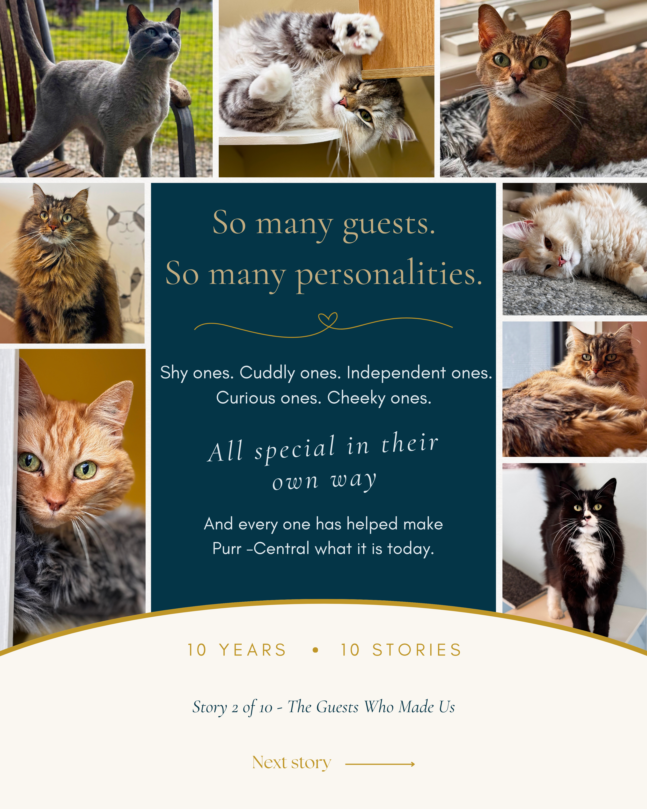 So many guests, so many personalities.png