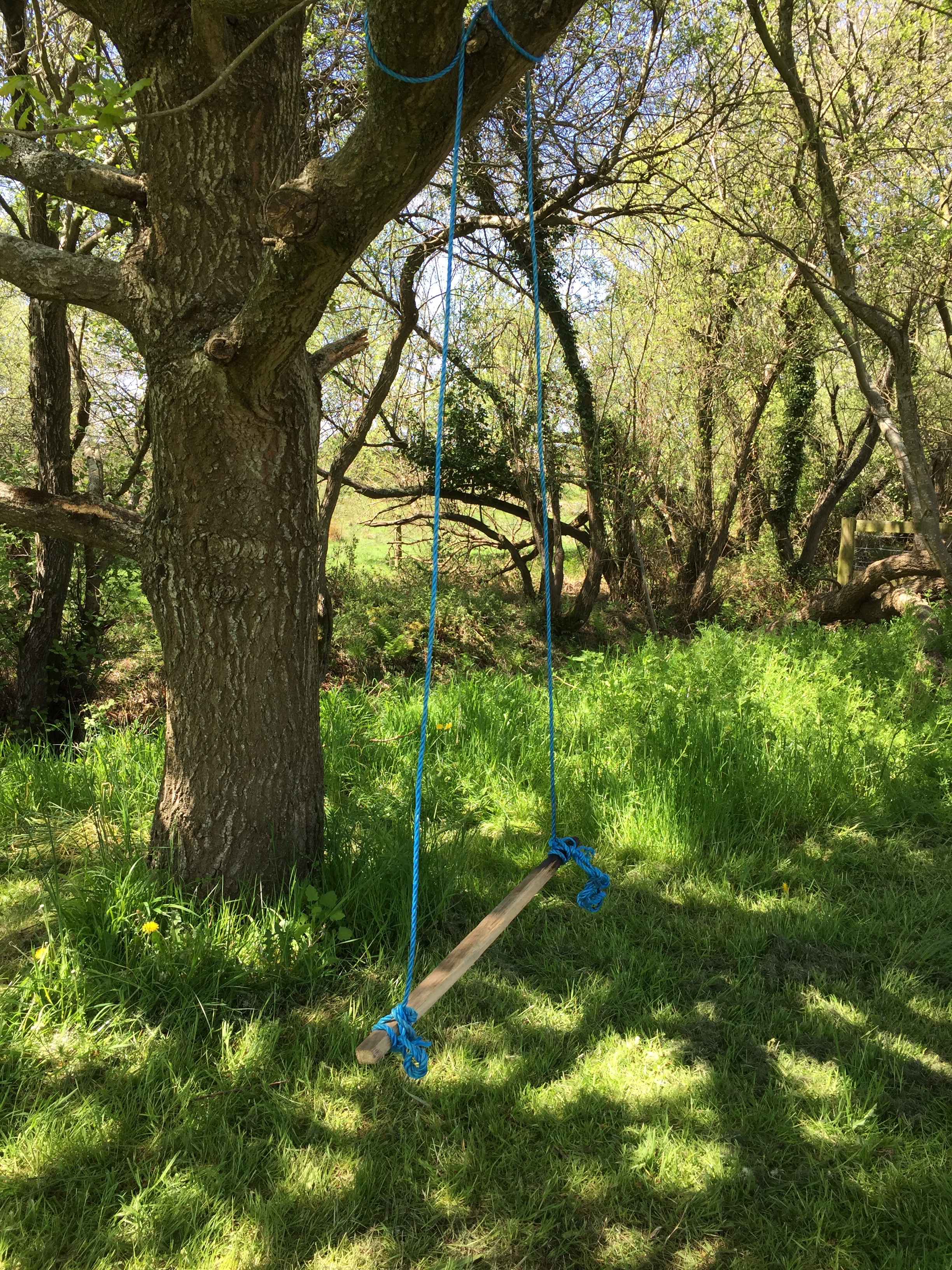 Camp hartland - rope swing.jpg