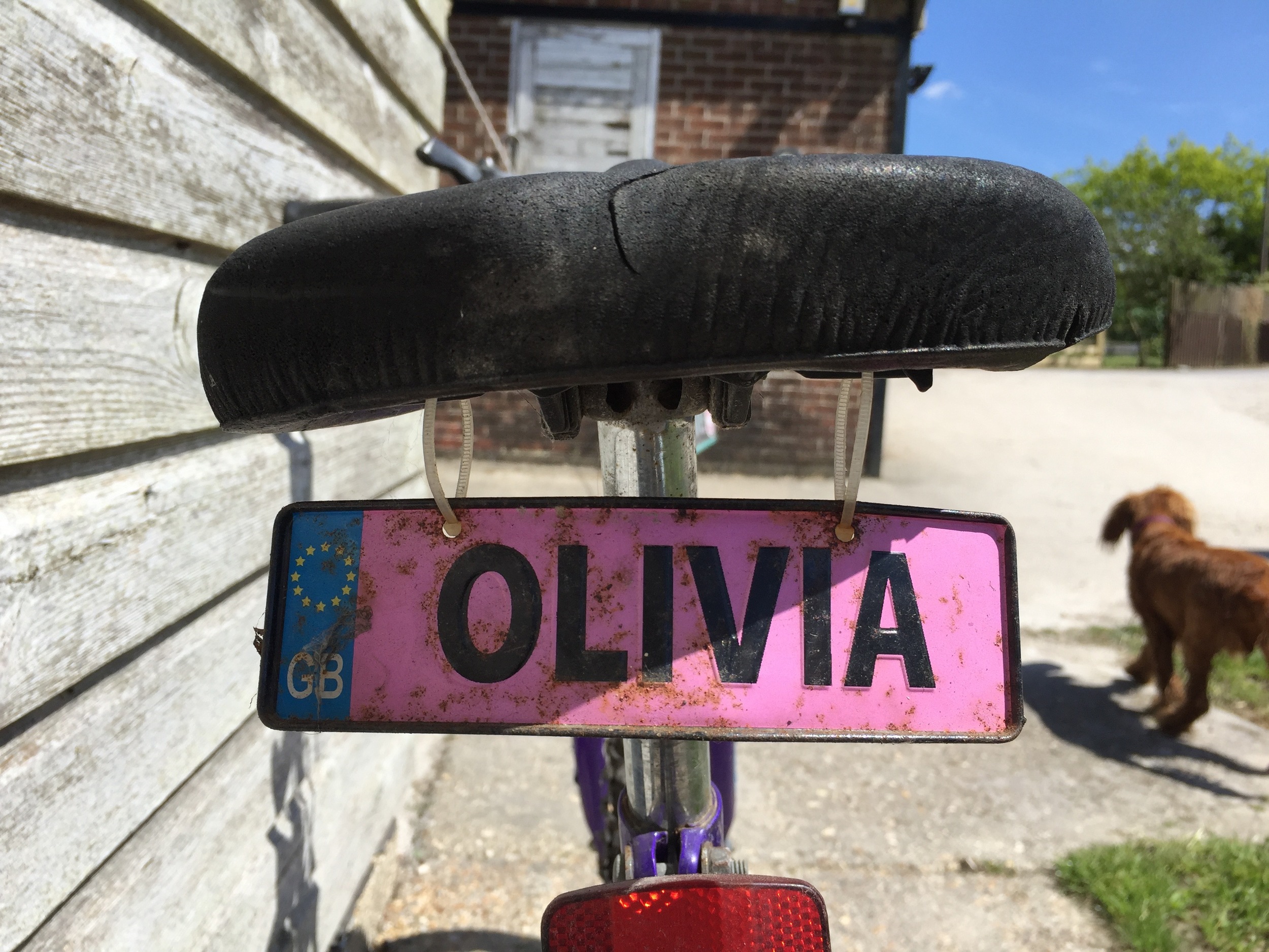 Camp Hartland - Olivia's bike.jpg